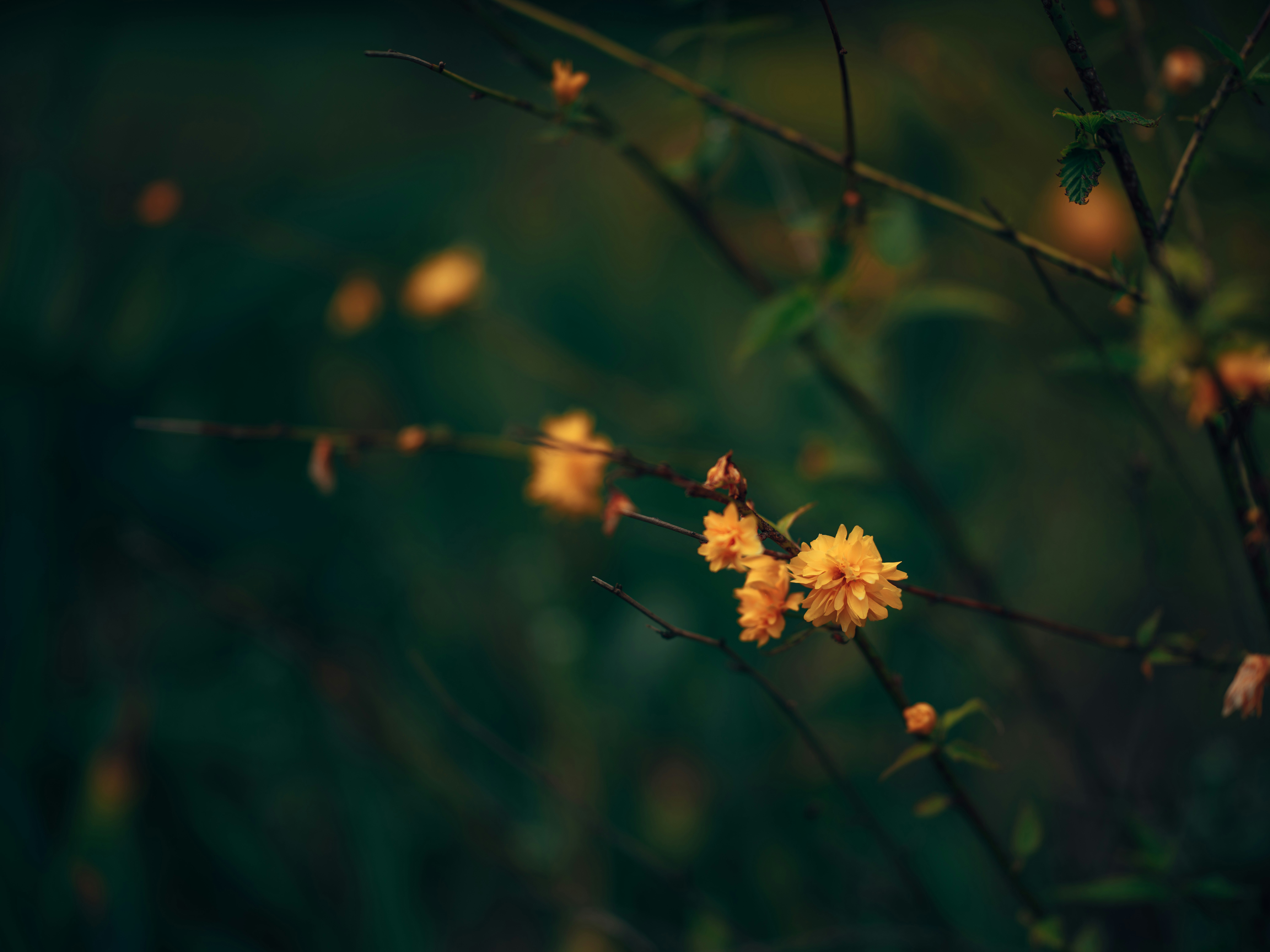 Photo by egorkomarov