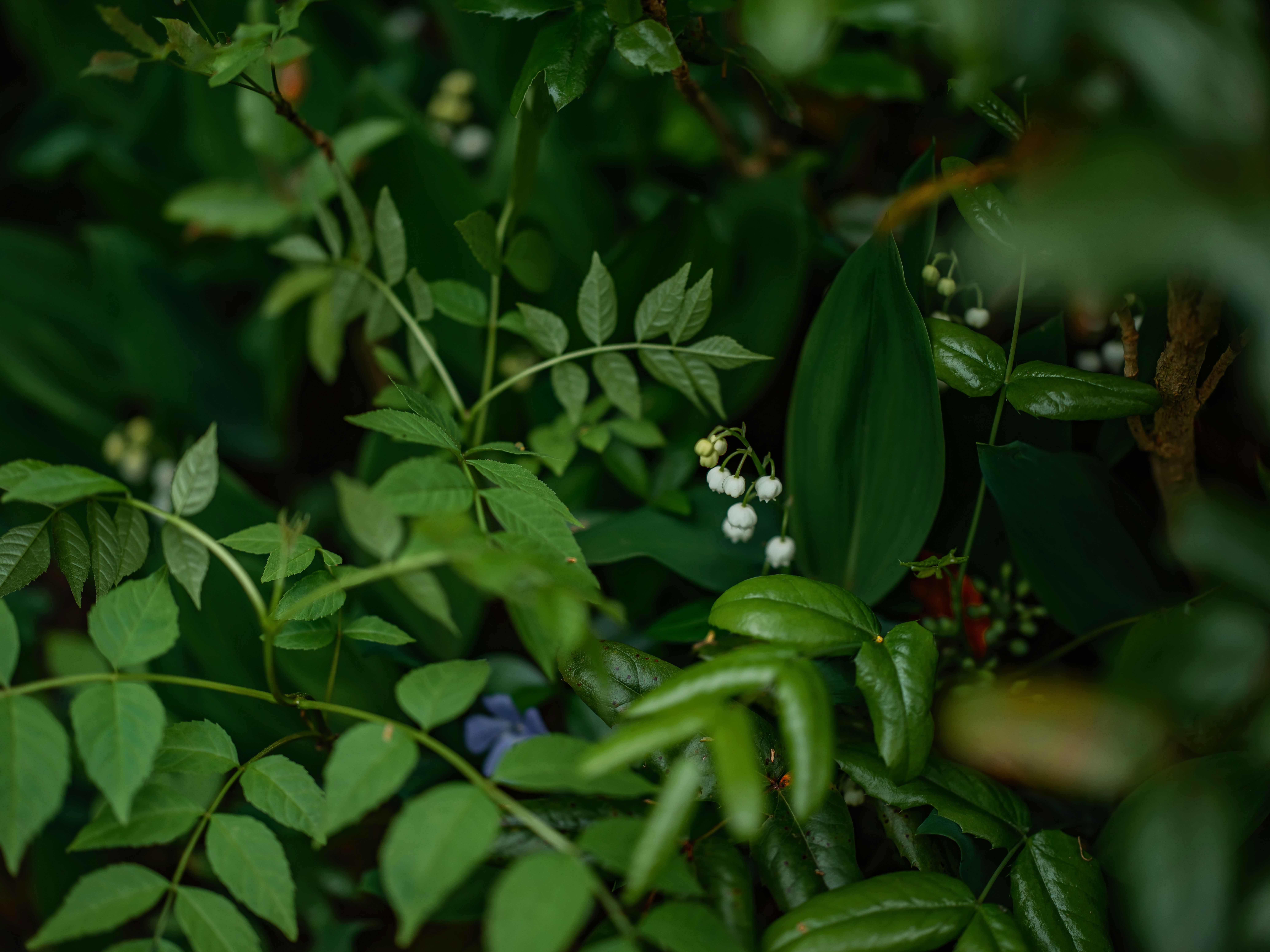 Photo by egorkomarov