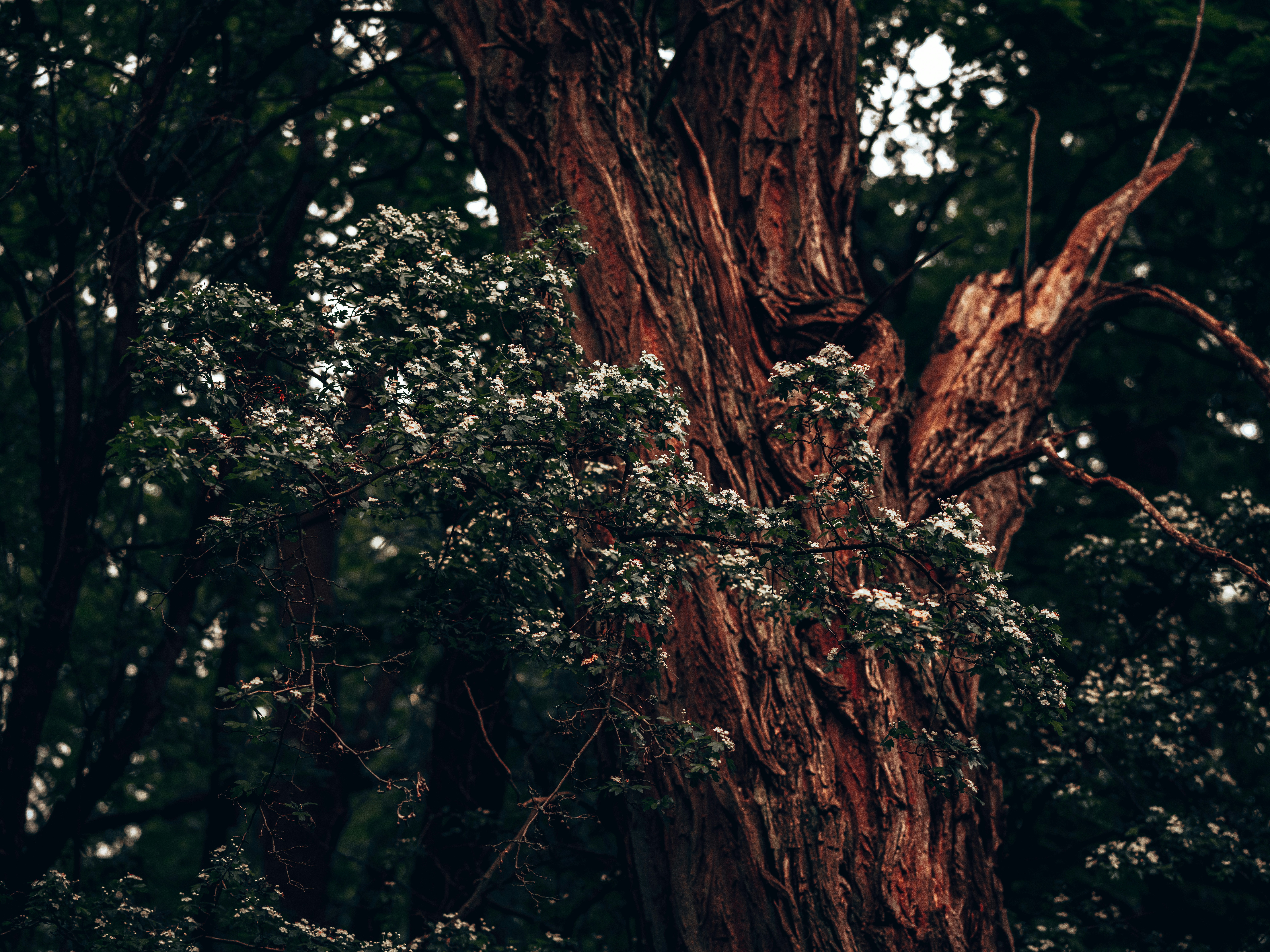 Photo by egorkomarov