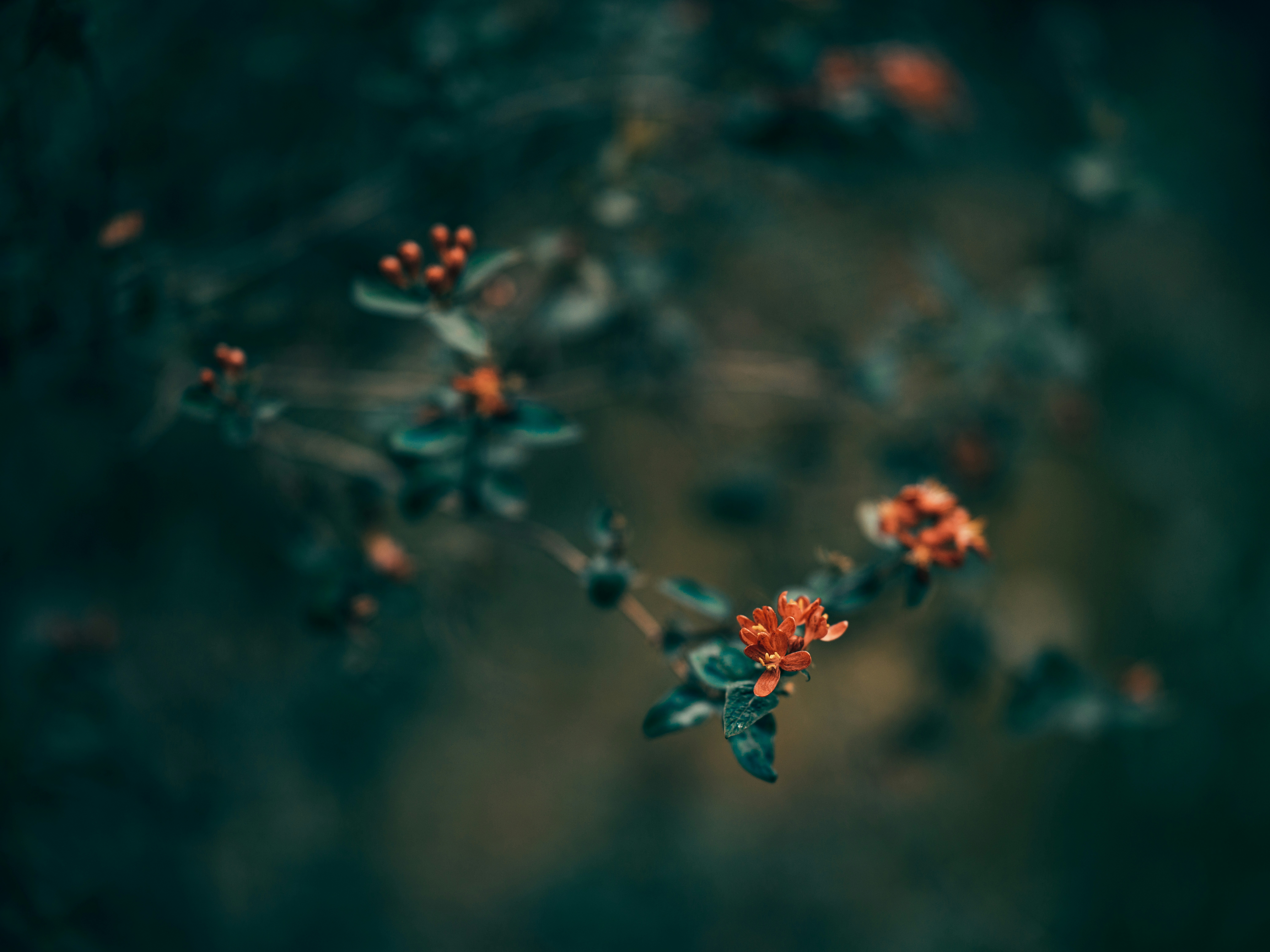 Photo by egorkomarov