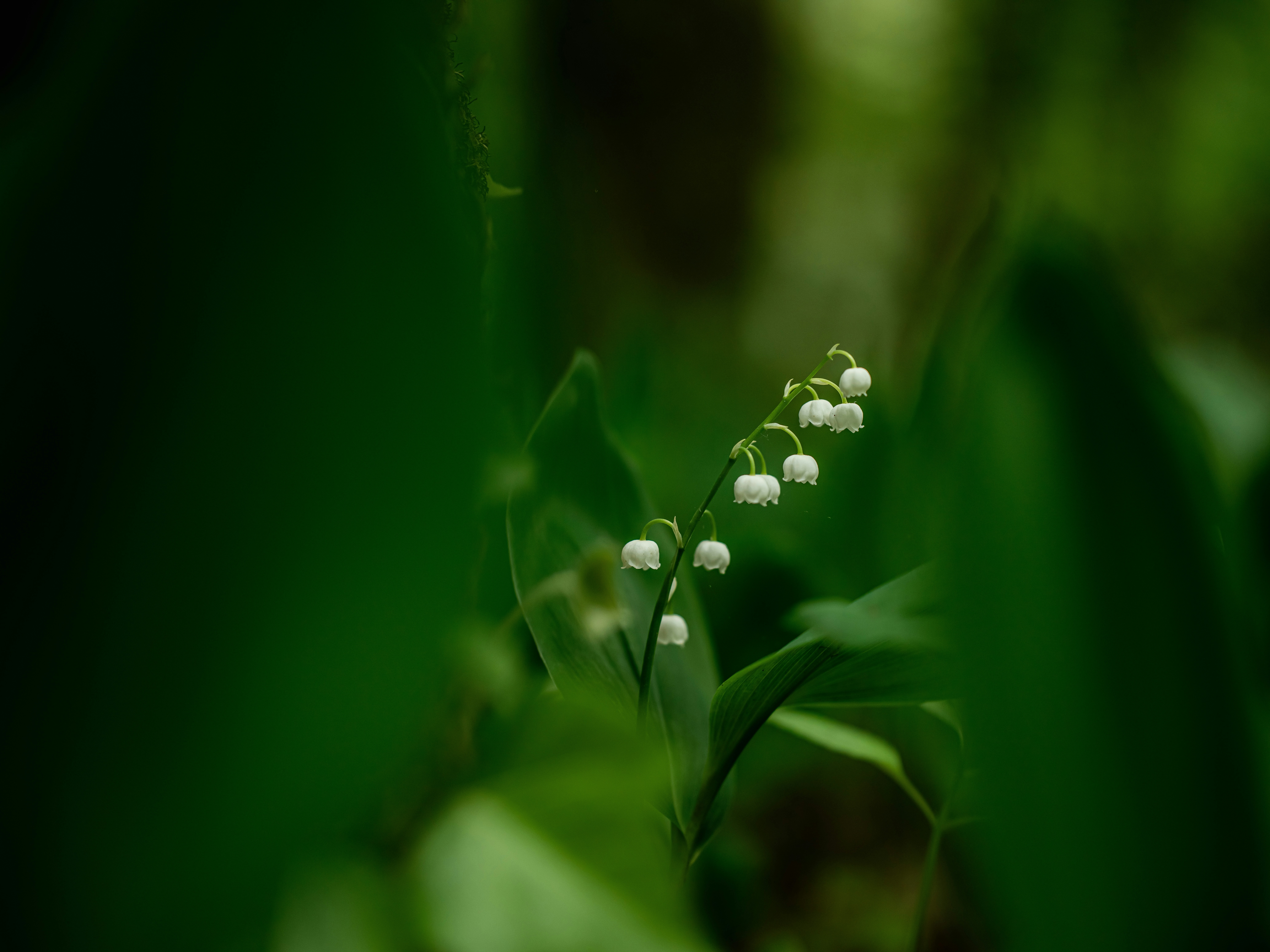 Photo by egorkomarov