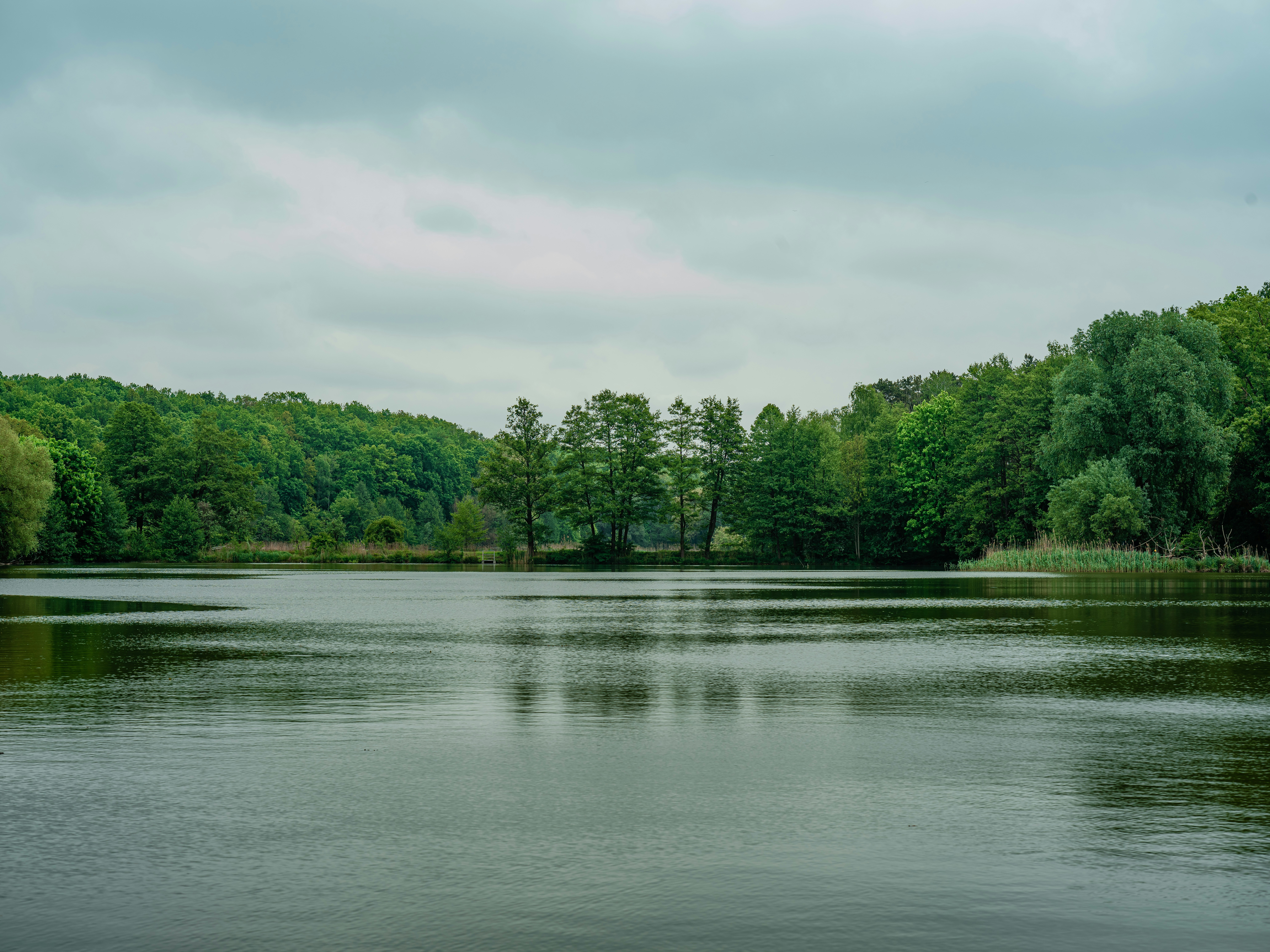 Photo by egorkomarov