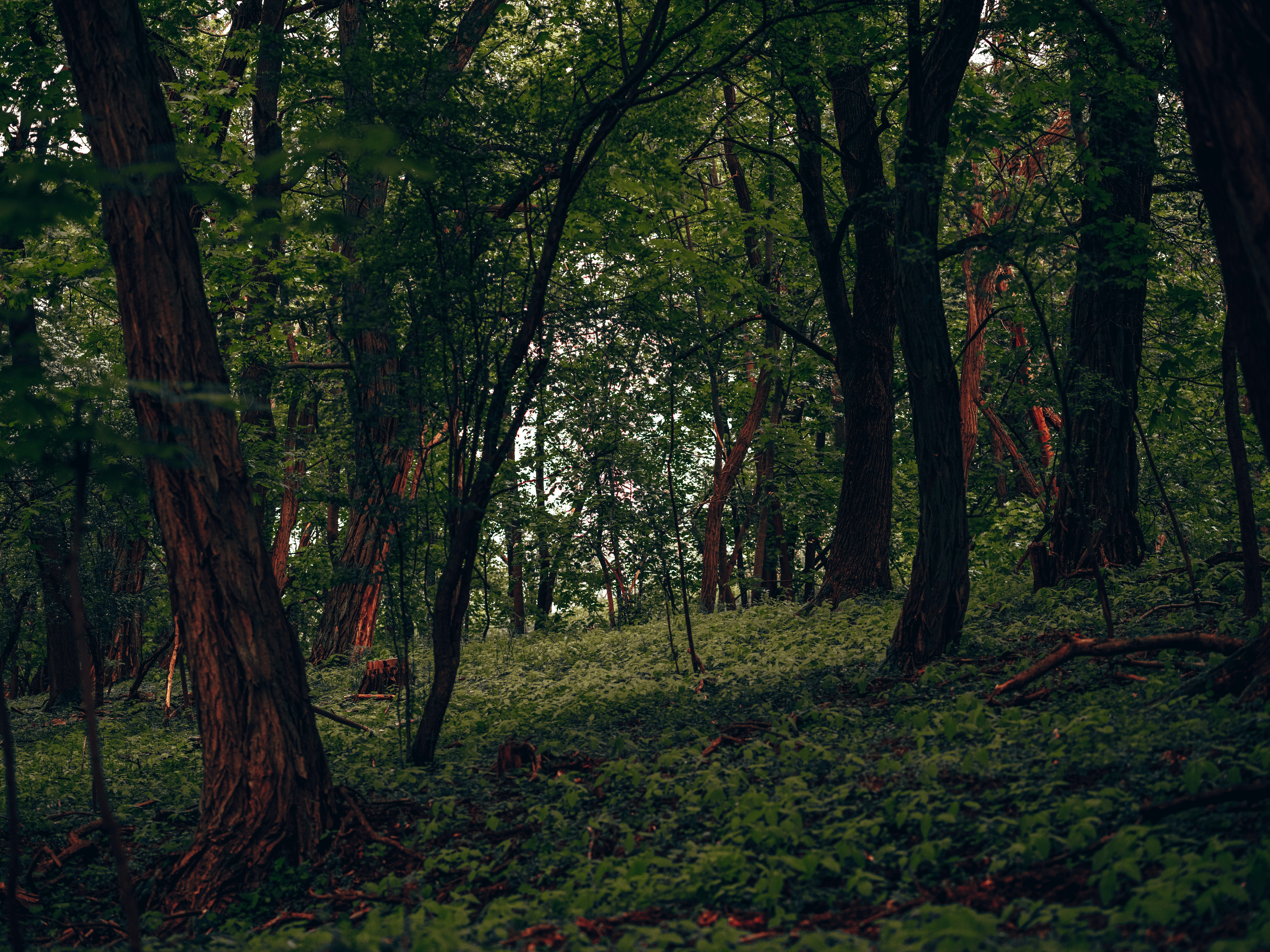 Photo by egorkomarov