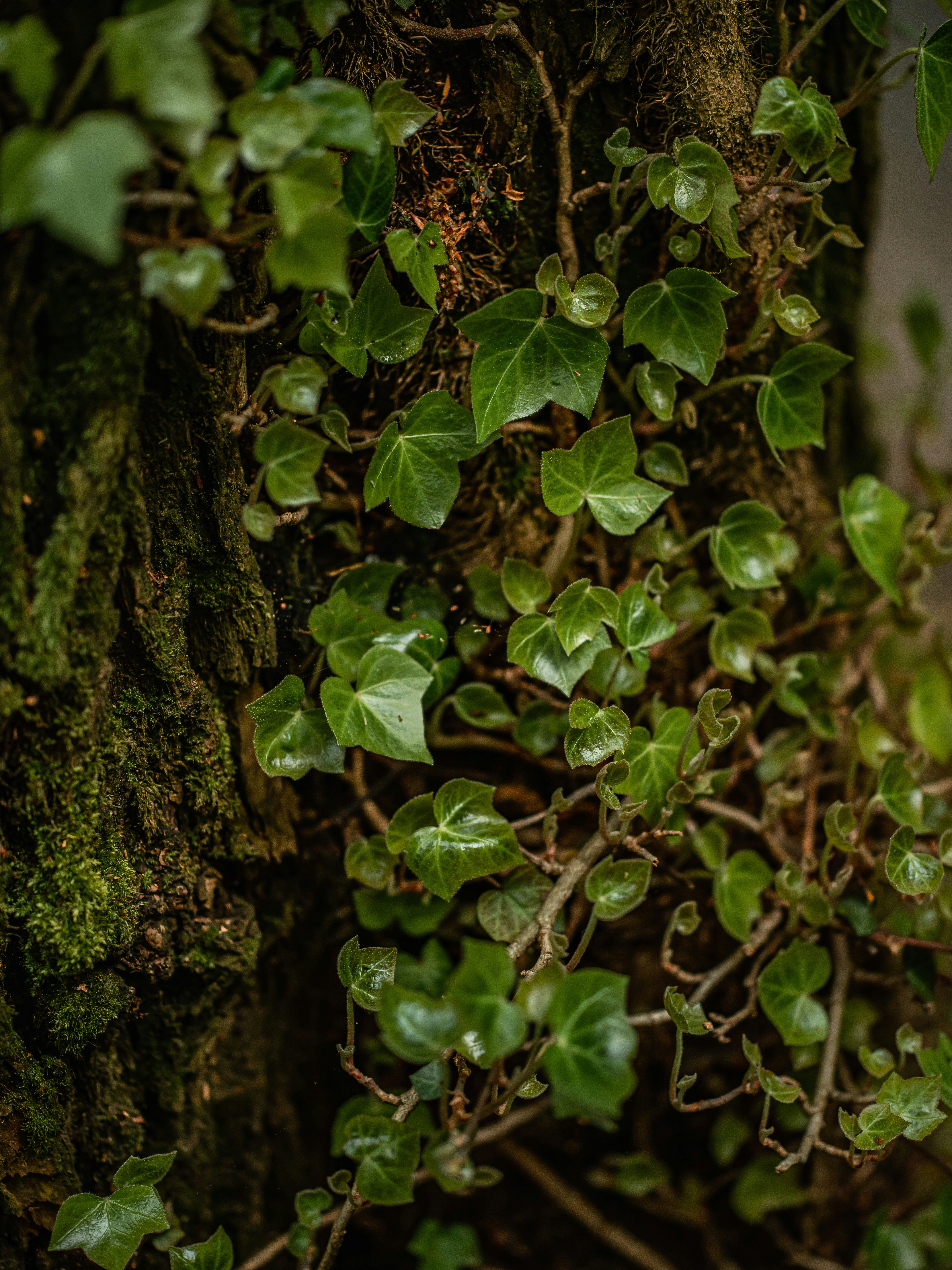 Photo by egorkomarov