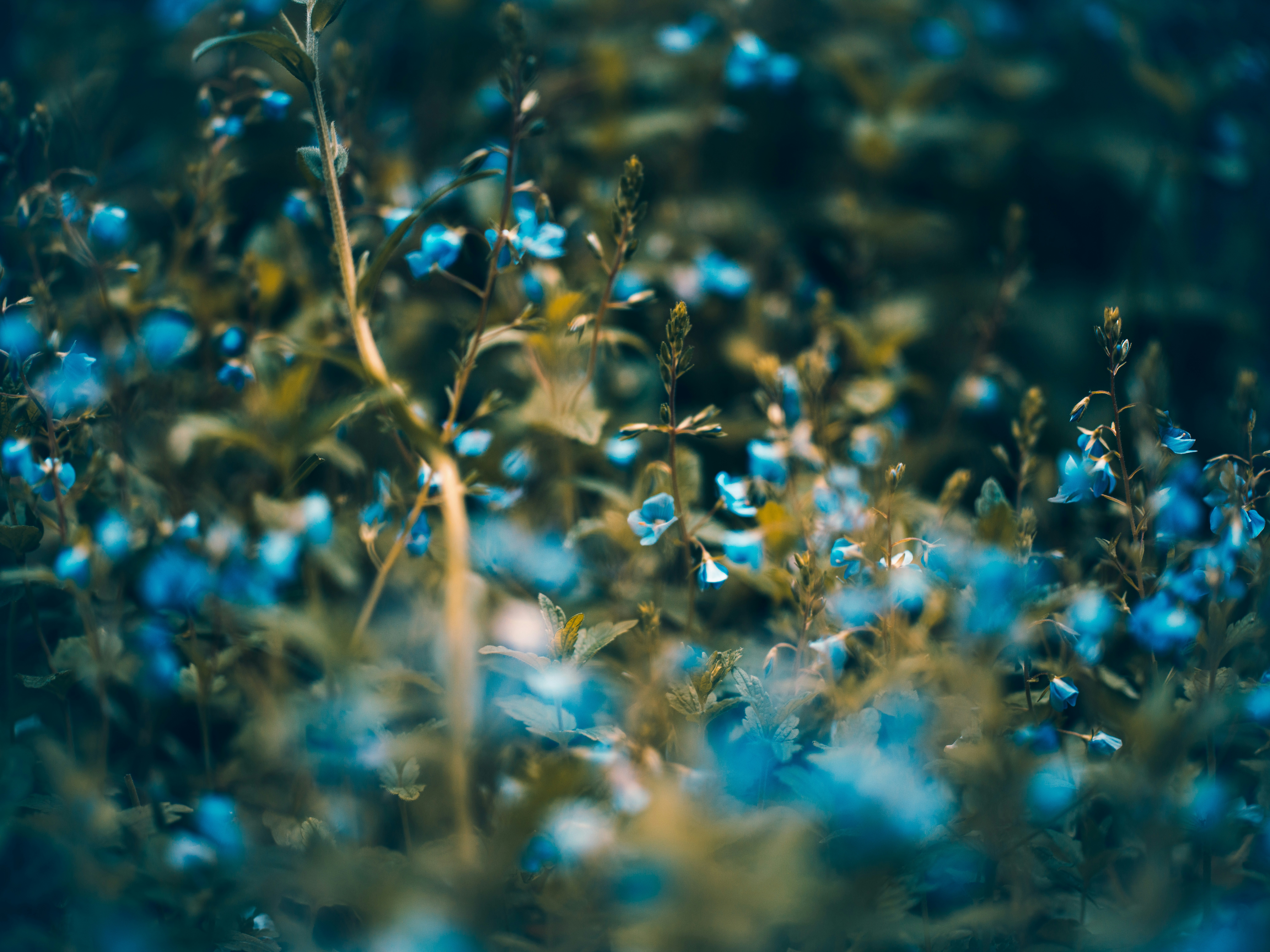 Photo by egorkomarov