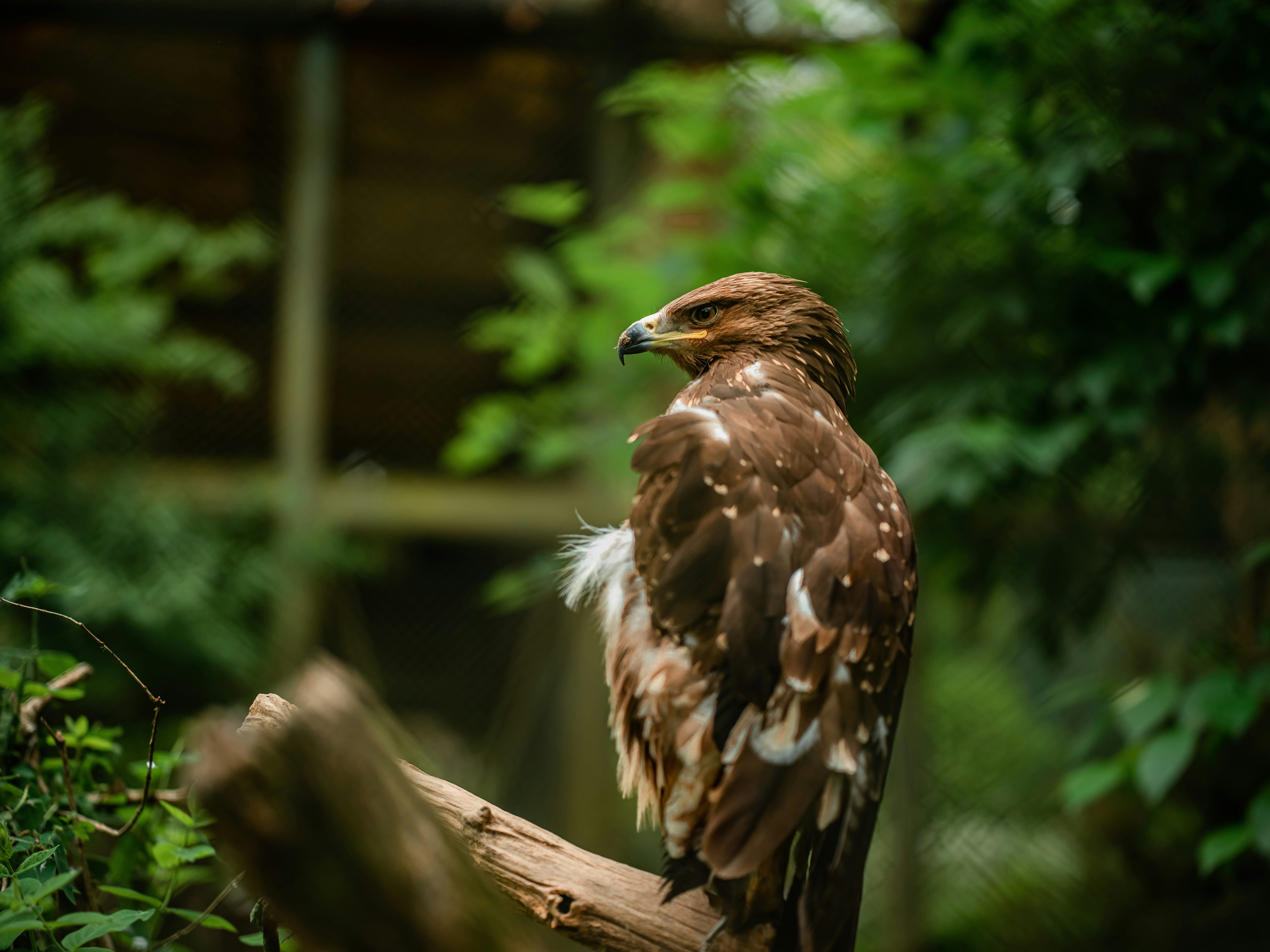 Photo by egorkomarov