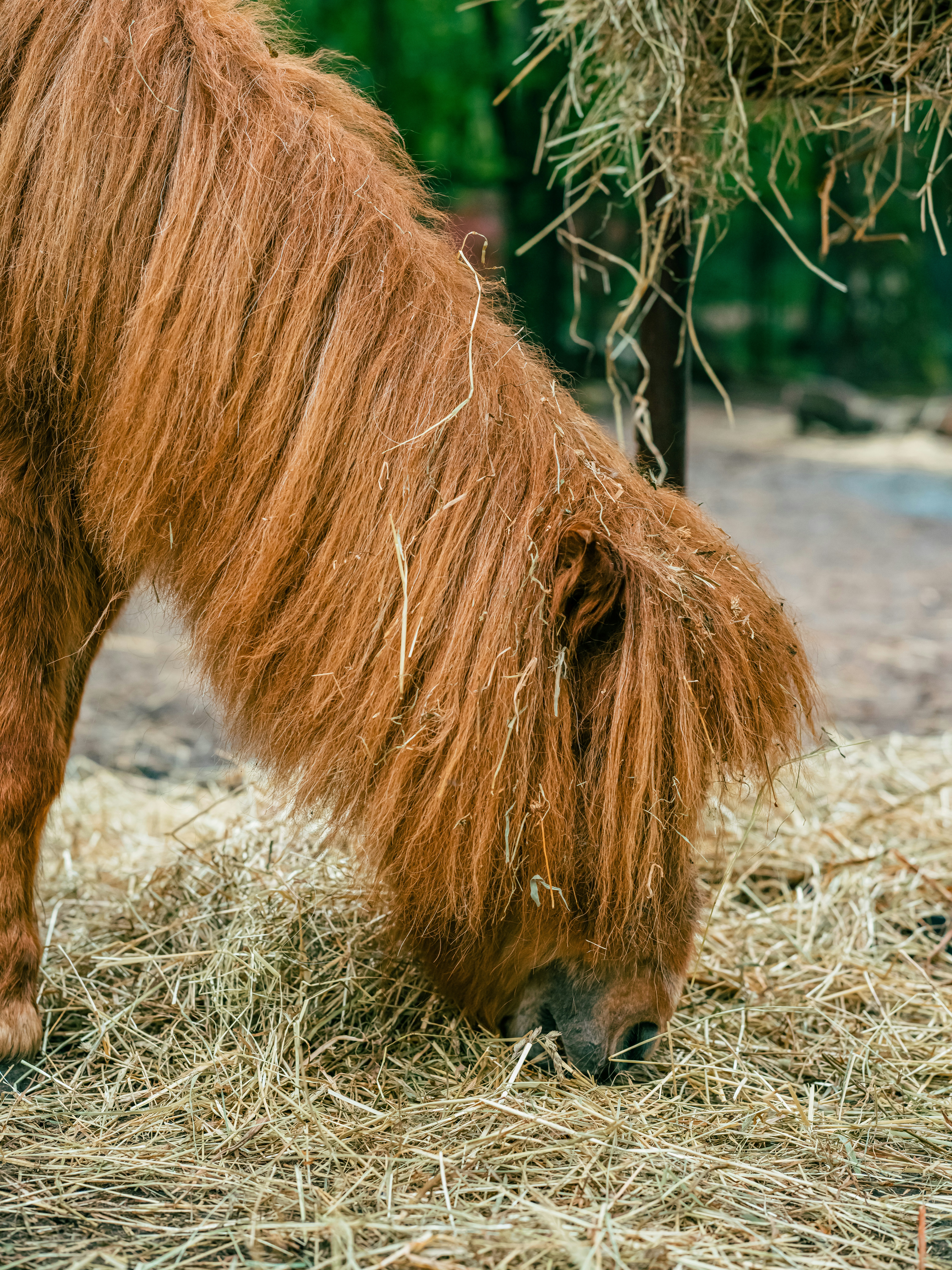 Photo by egorkomarov