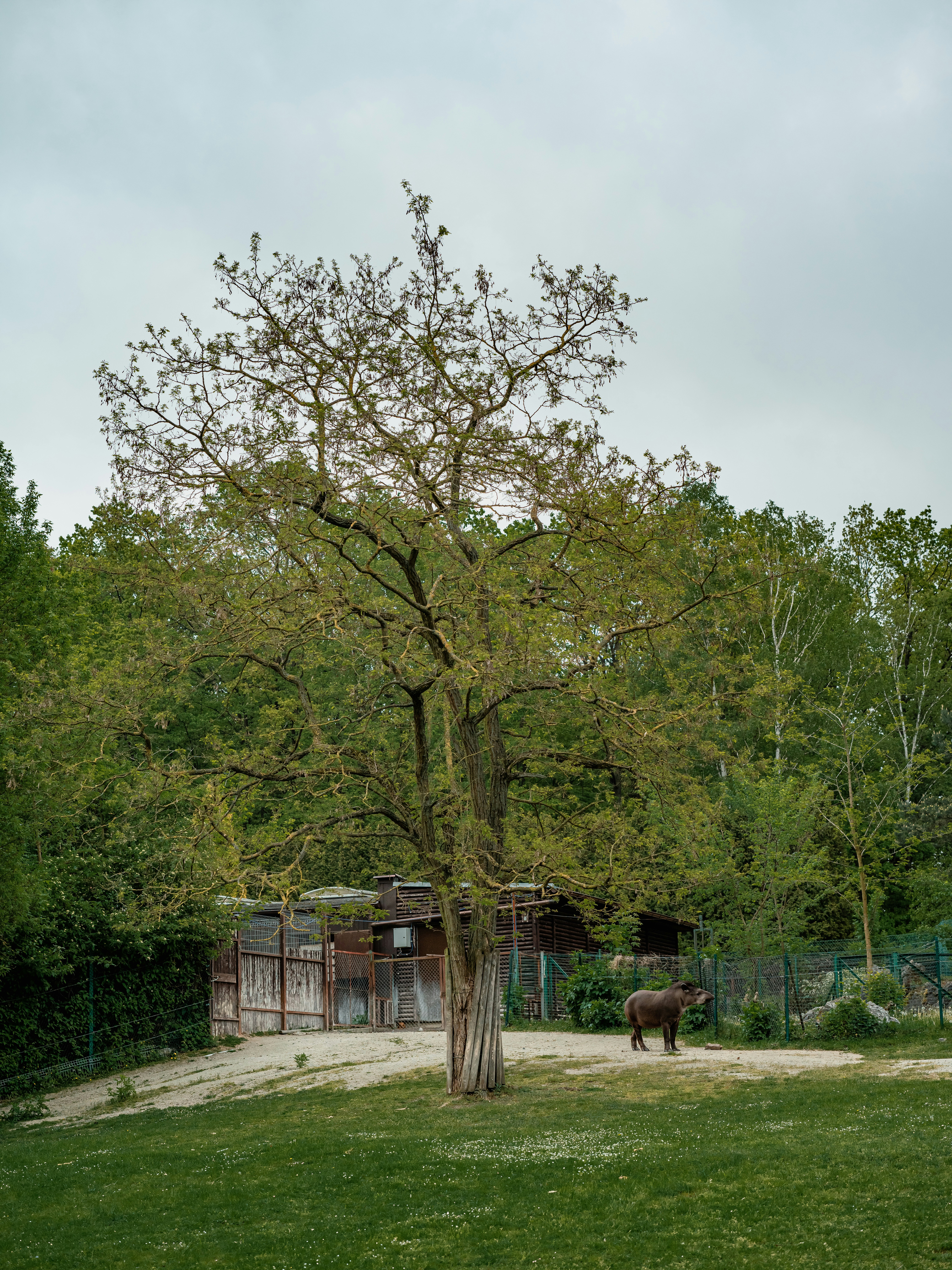 Tierpark Hagenbeck (Hagenbeck Zoo) photo 2