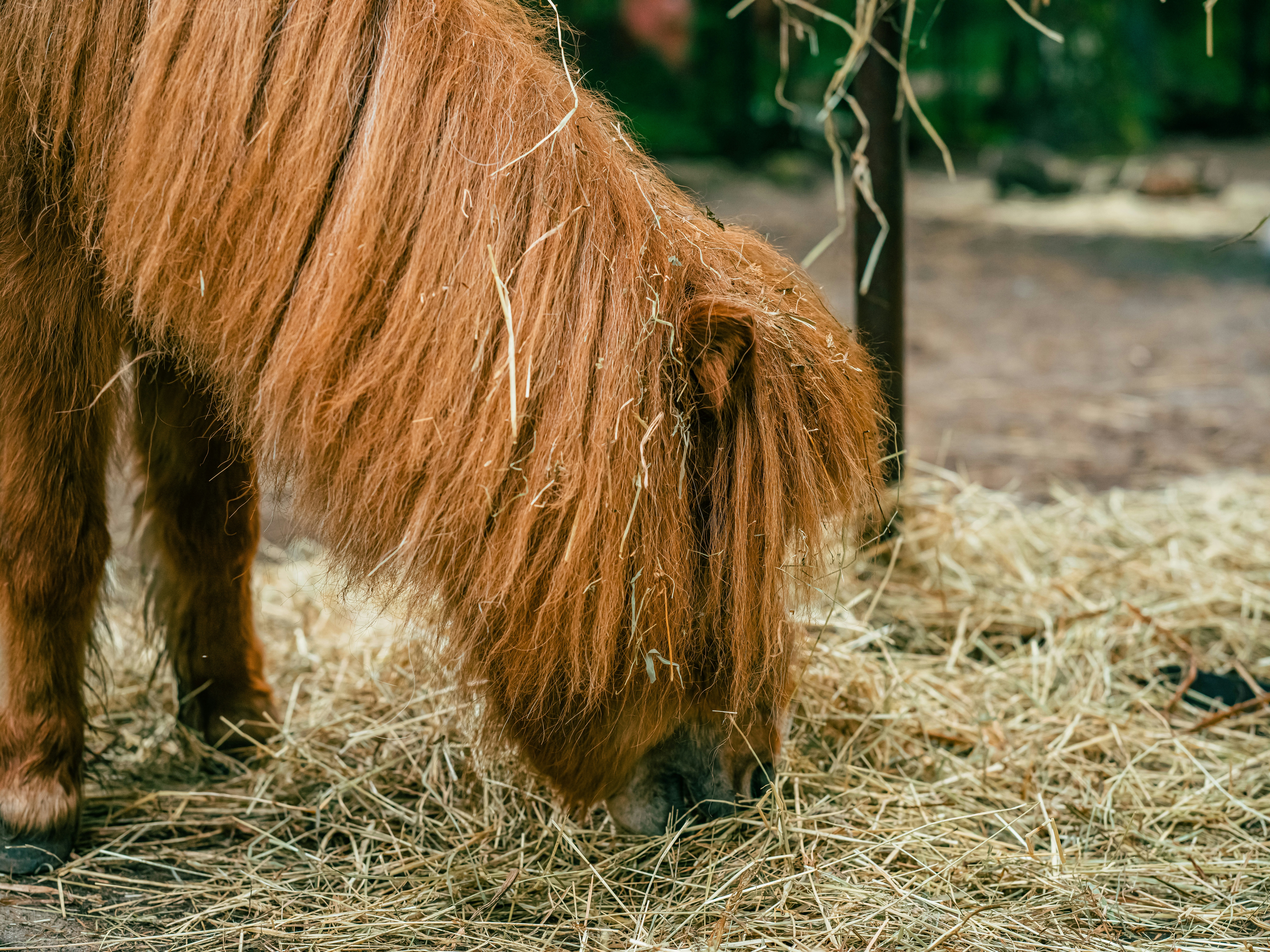 Photo by egorkomarov