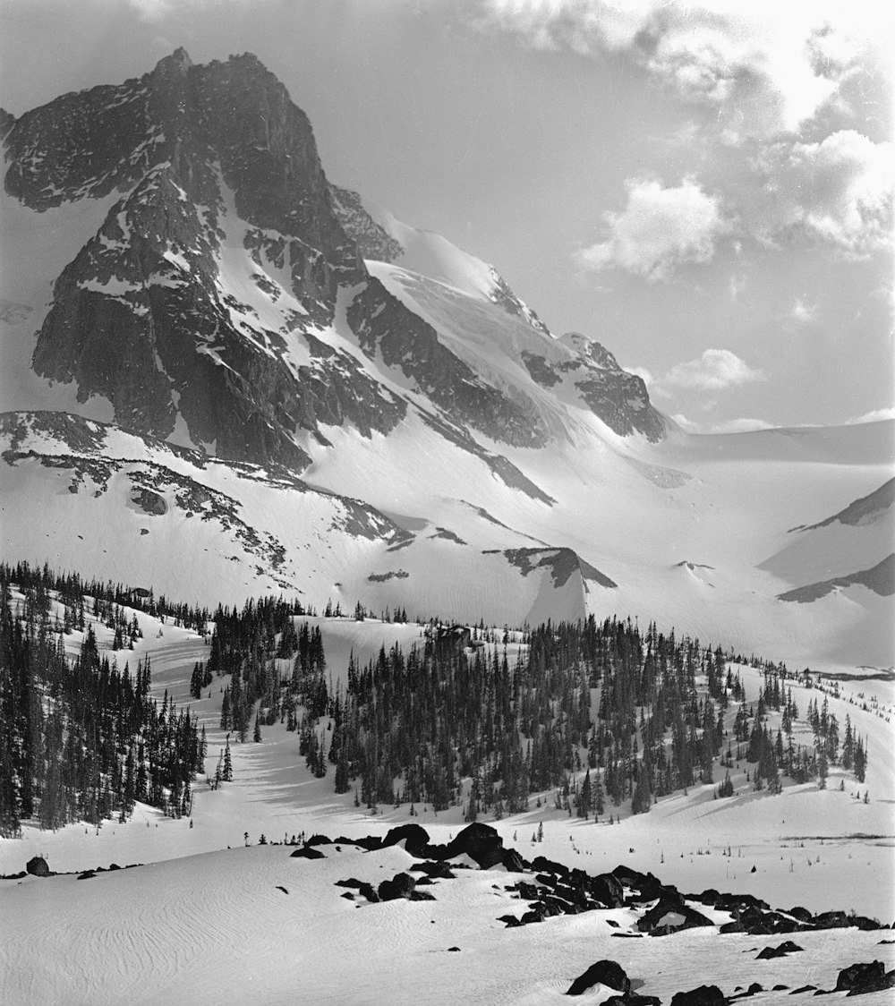 a black and white photo of a snowy mountain