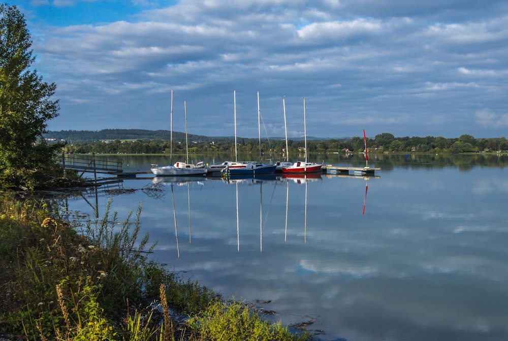 a body of water filled with lots of boats