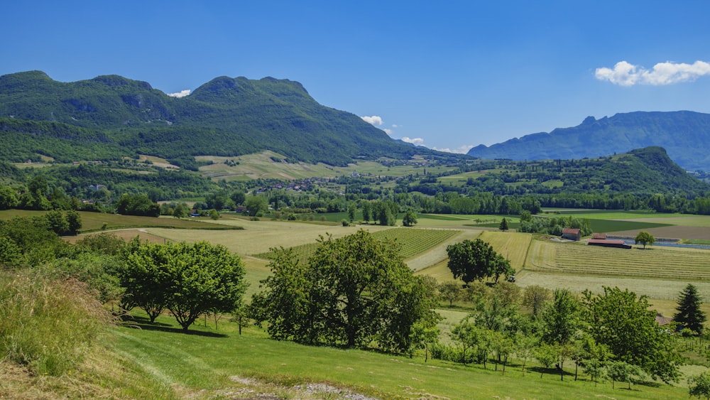 a green field with mountains in the background