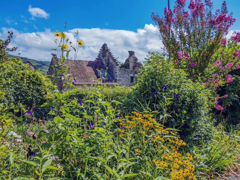 a house surrounded by flowers and trees on a sunny day