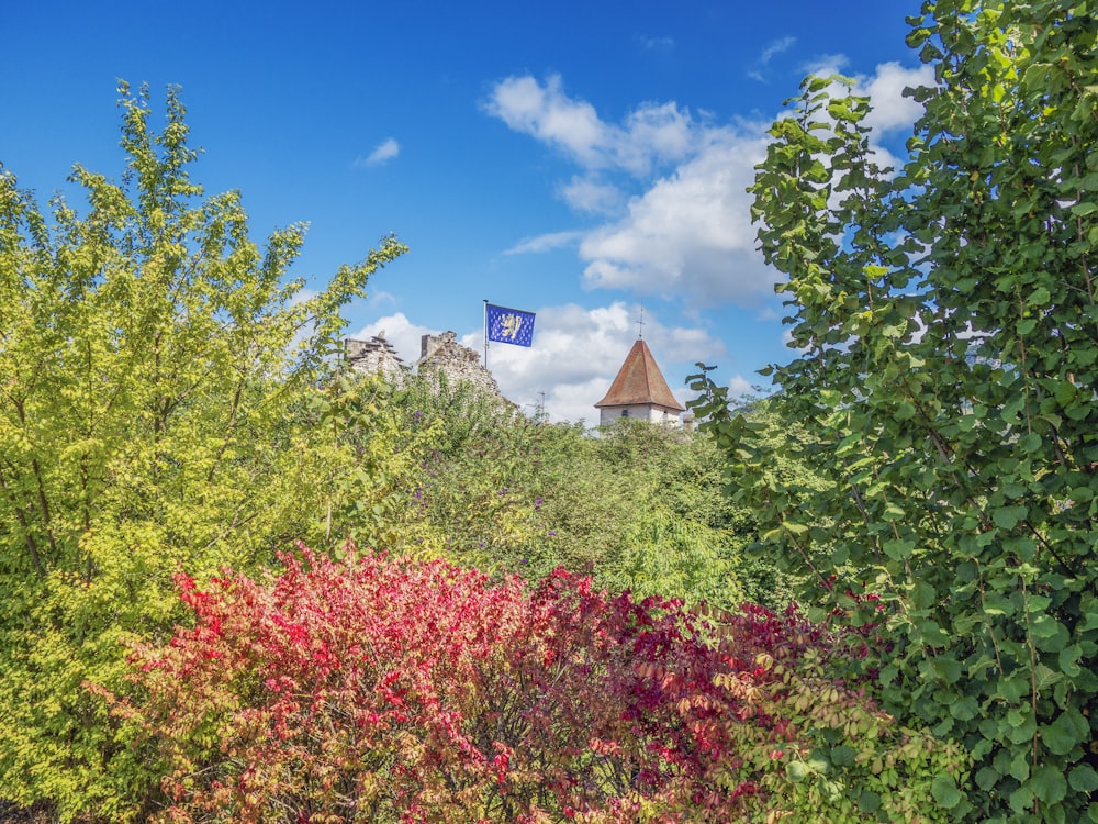 a clock tower in the middle of a forest