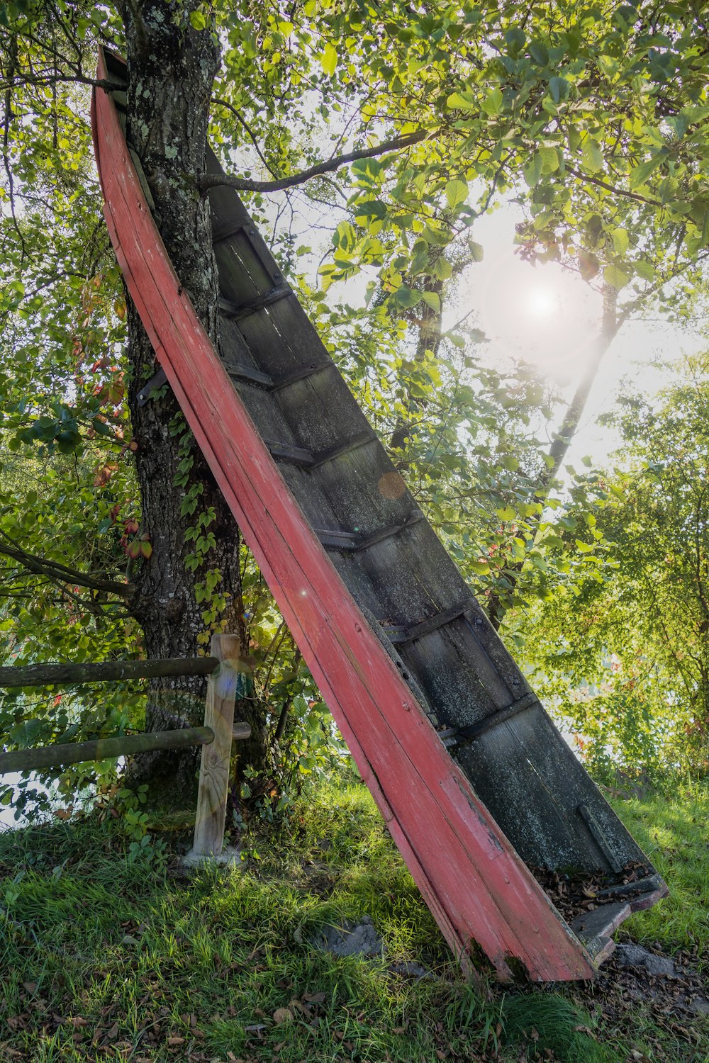 ein kaputter roter Regenschirm, der auf einem Baum sitzt