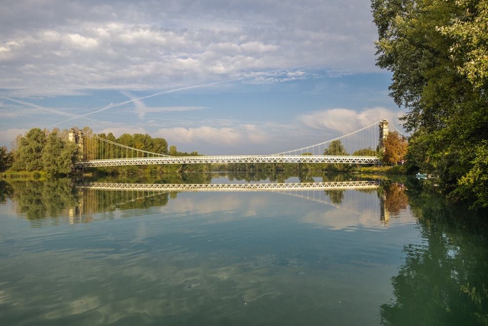 a bridge over a body of water surrounded by trees