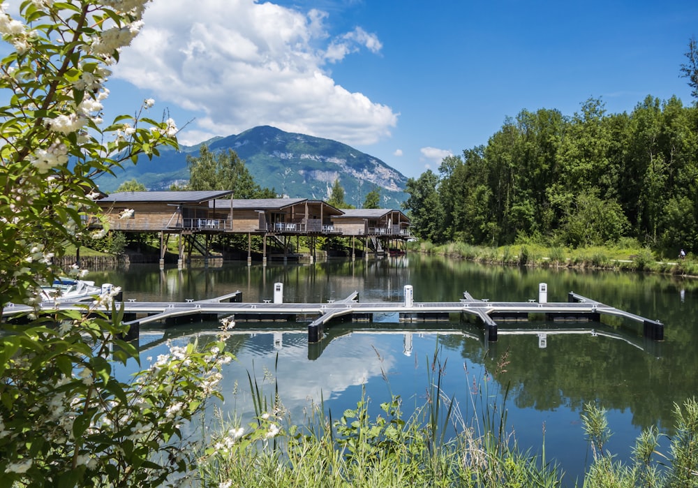 a dock on a lake with a mountain in the background