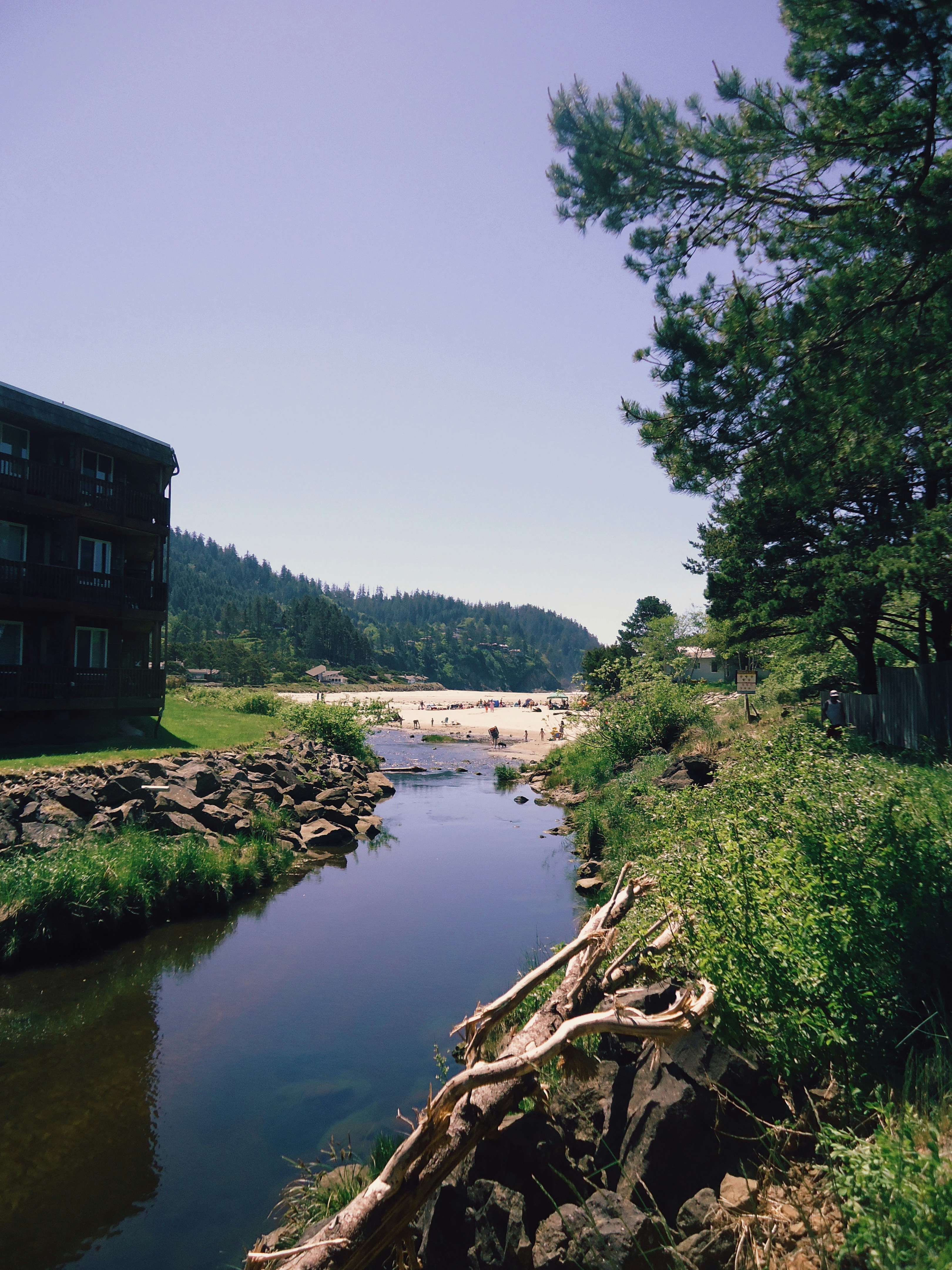 a river running through a lush green forest