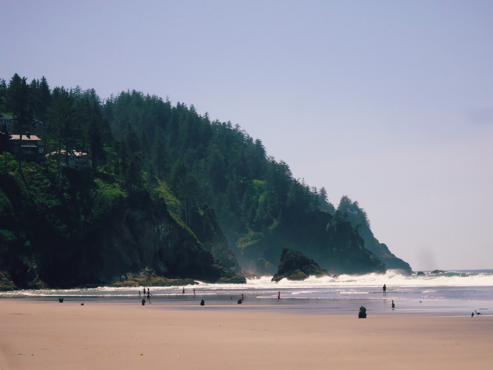 a group of people standing on top of a sandy beach