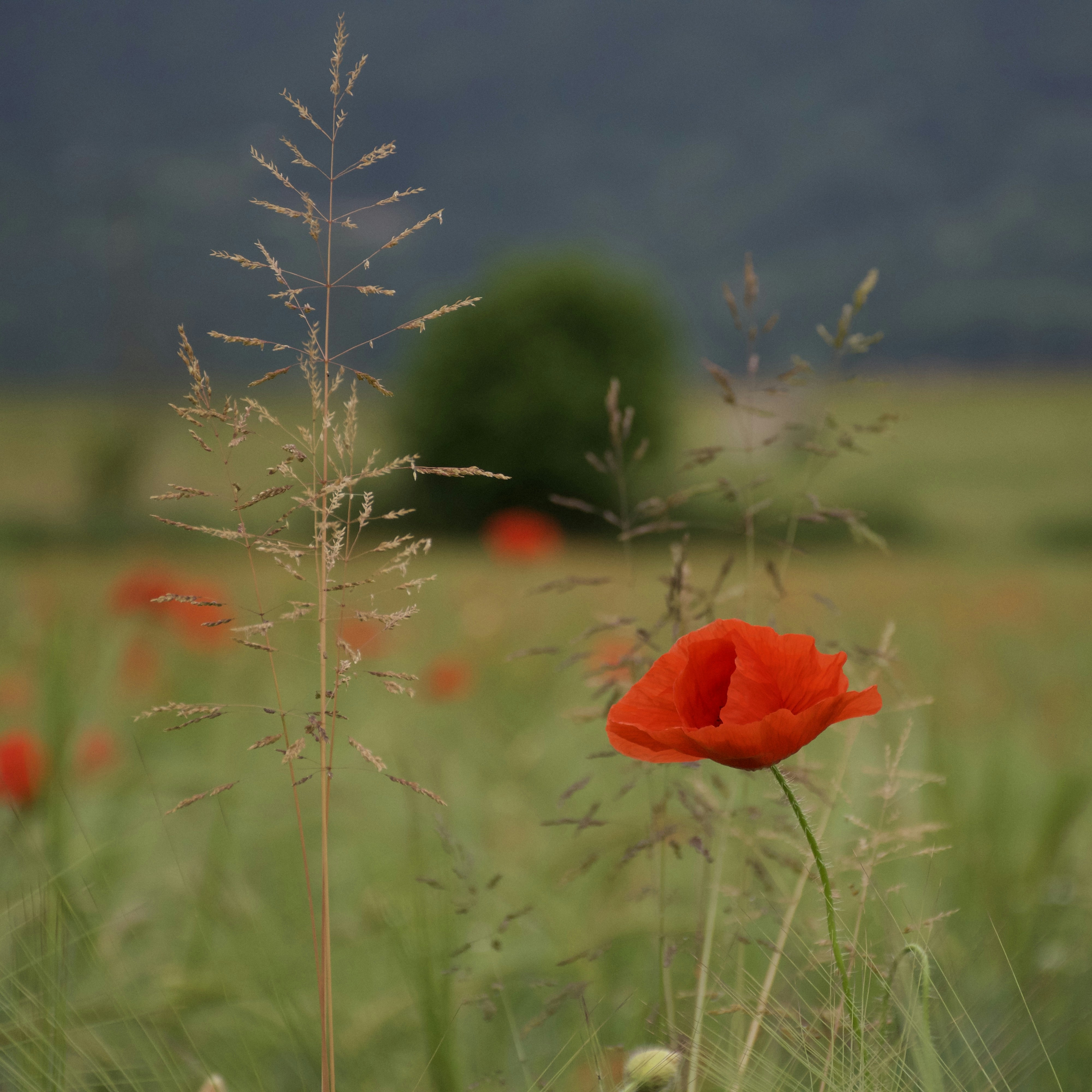 Photo by raffaella_ph