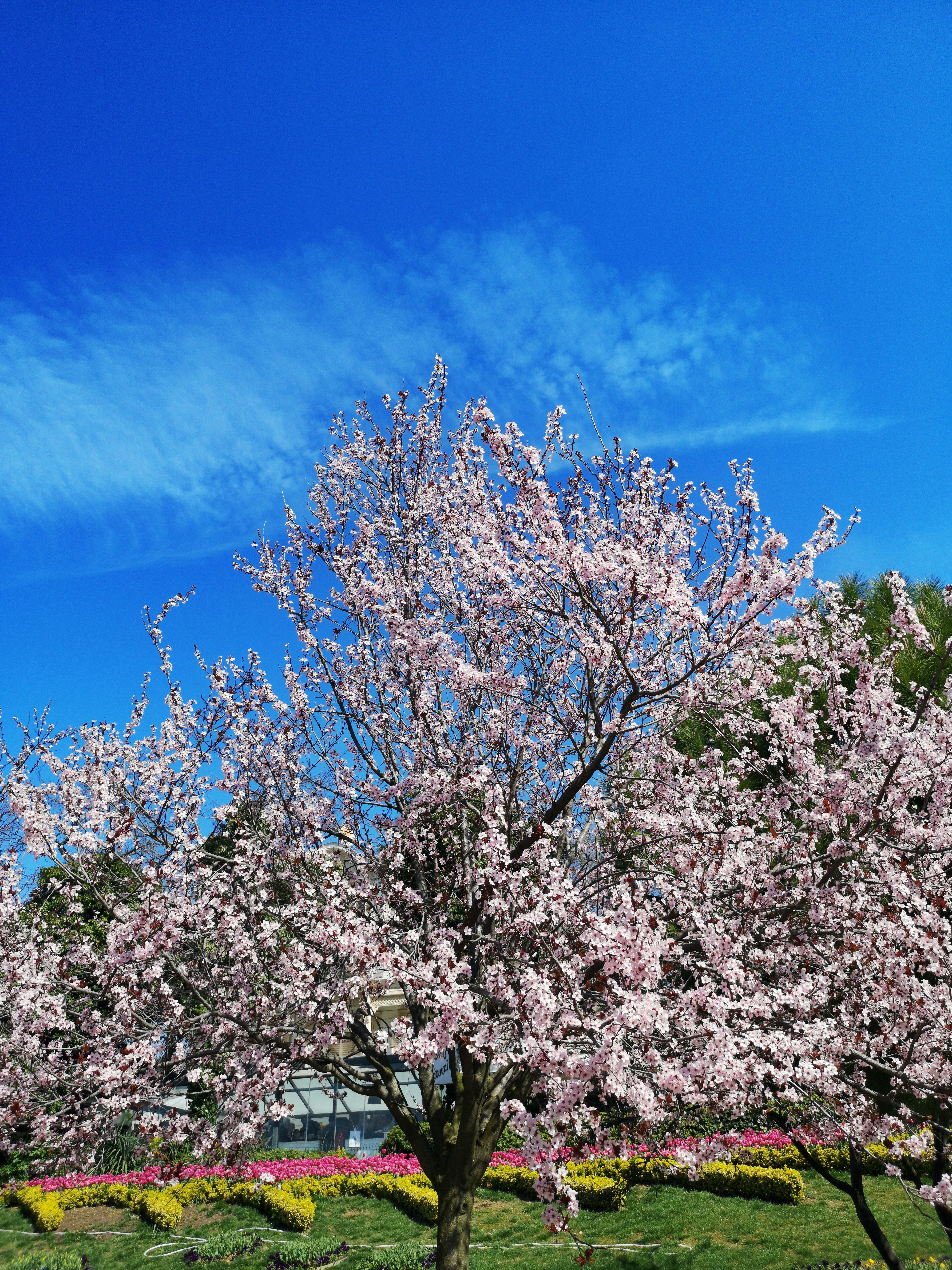 Photo by umutyildirim