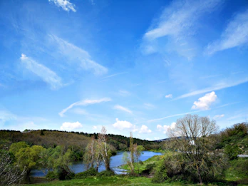 A serene landscape watercolor featuring lush greenery and a calm river under a gentle sky.
