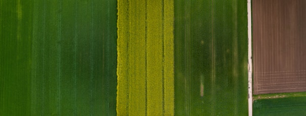 An aerial view of farmland with distinct rectangular plots displaying varying shades of green and a section of cultivated soil. The image shows neatly divided agricultural fields, with one side exhibiting dense green crops and the other side showing brown plowed land.