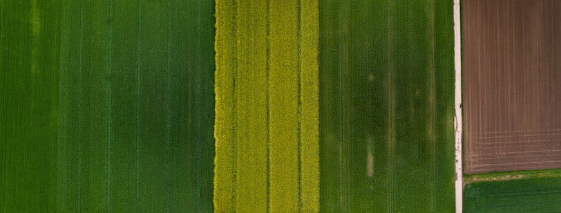 An aerial view of farmland with distinct rectangular plots displaying varying shades of green and a section of cultivated soil. The image shows neatly divided agricultural fields, with one side exhibiting dense green crops and the other side showing brown plowed land.