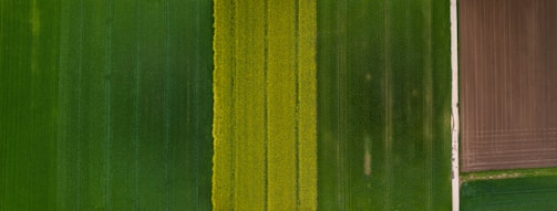 An aerial view of farmland with distinct rectangular plots displaying varying shades of green and a section of cultivated soil. The image shows neatly divided agricultural fields, with one side exhibiting dense green crops and the other side showing brown plowed land.