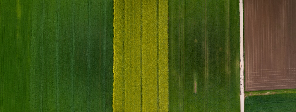 An aerial view of farmland with distinct rectangular plots displaying varying shades of green and a section of cultivated soil. The image shows neatly divided agricultural fields, with one side exhibiting dense green crops and the other side showing brown plowed land.
