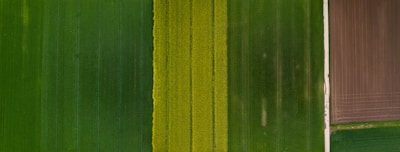 An aerial view of farmland with distinct rectangular plots displaying varying shades of green and a section of cultivated soil. The image shows neatly divided agricultural fields, with one side exhibiting dense green crops and the other side showing brown plowed land.