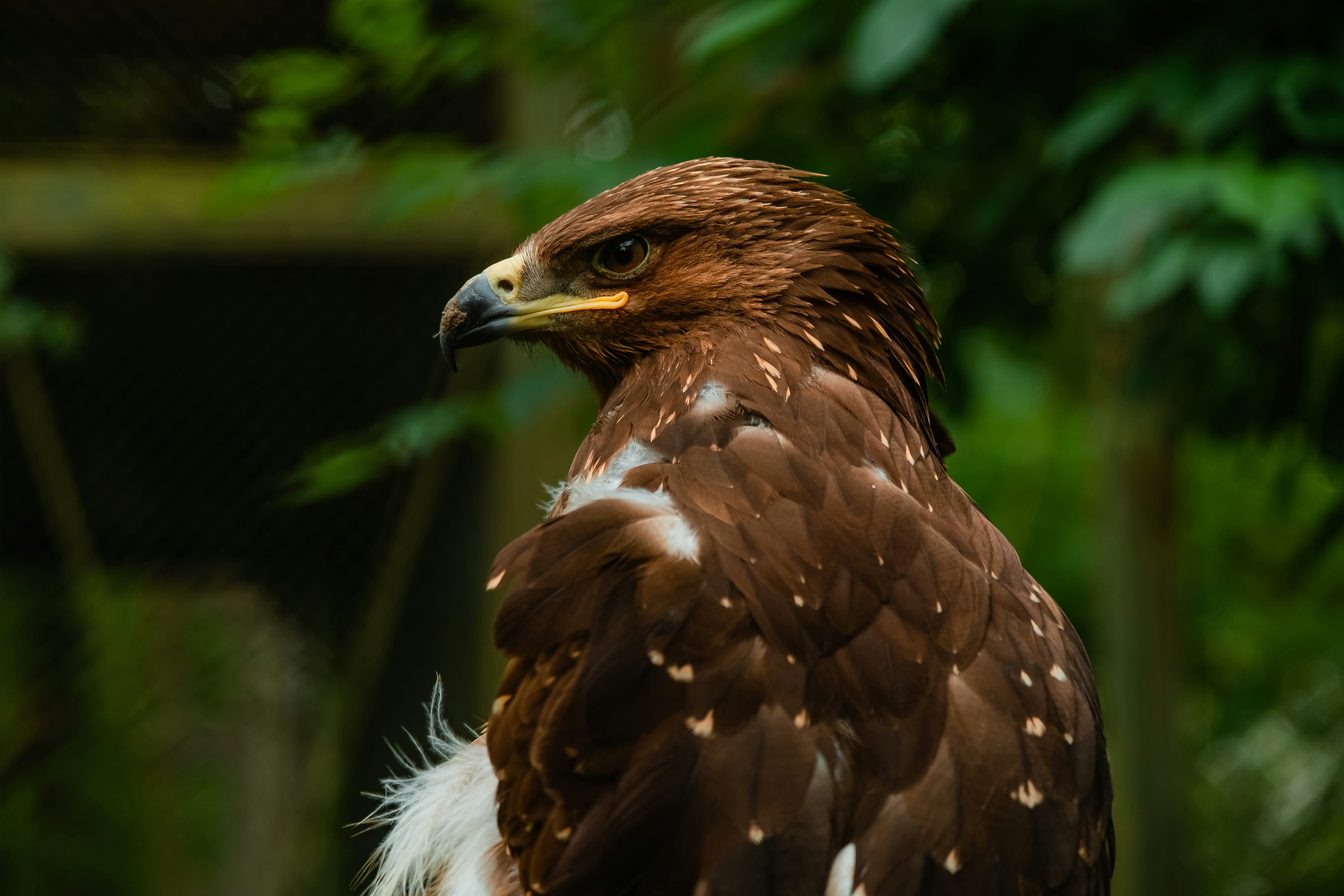 Photo by egorkomarov