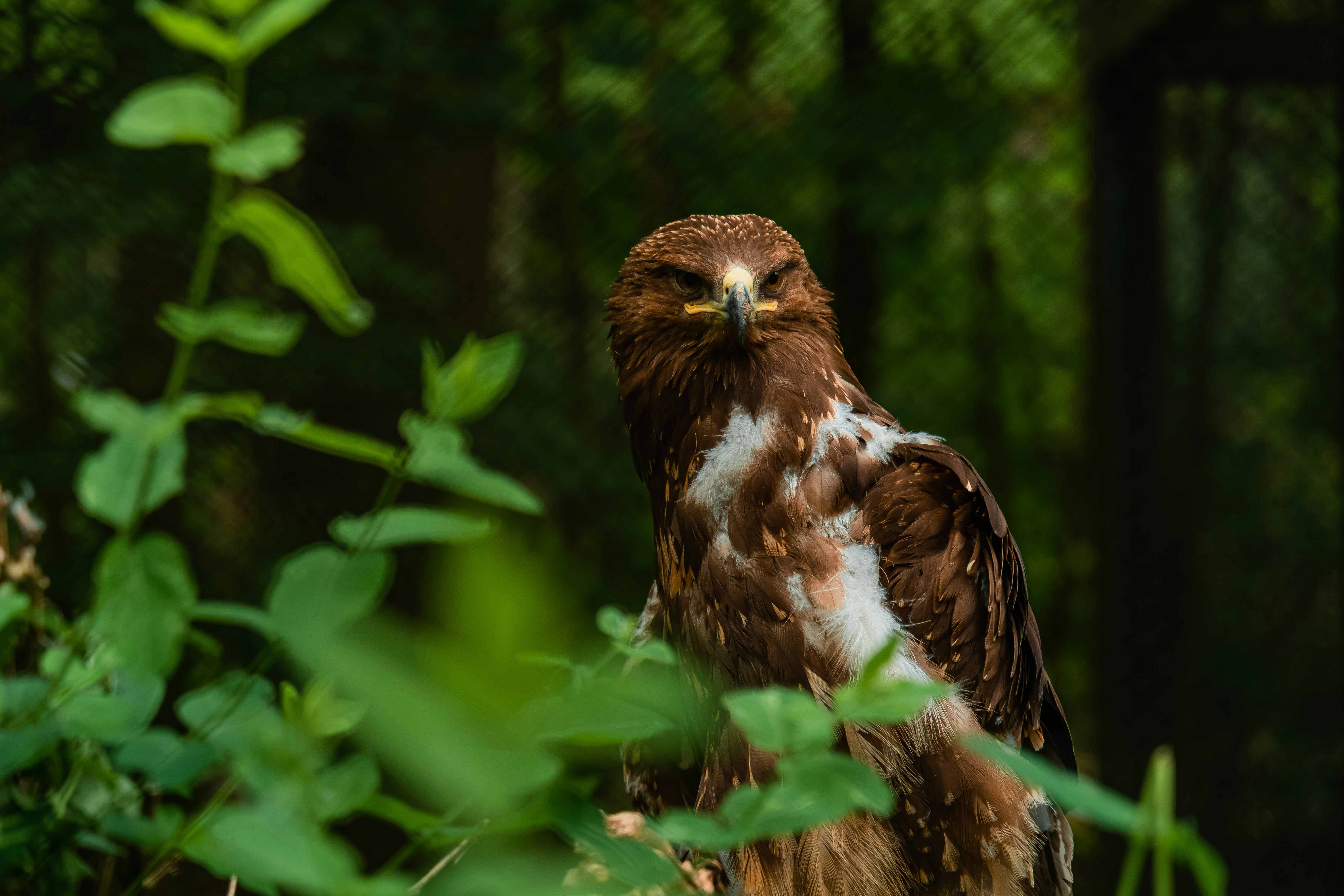 Photo by egorkomarov