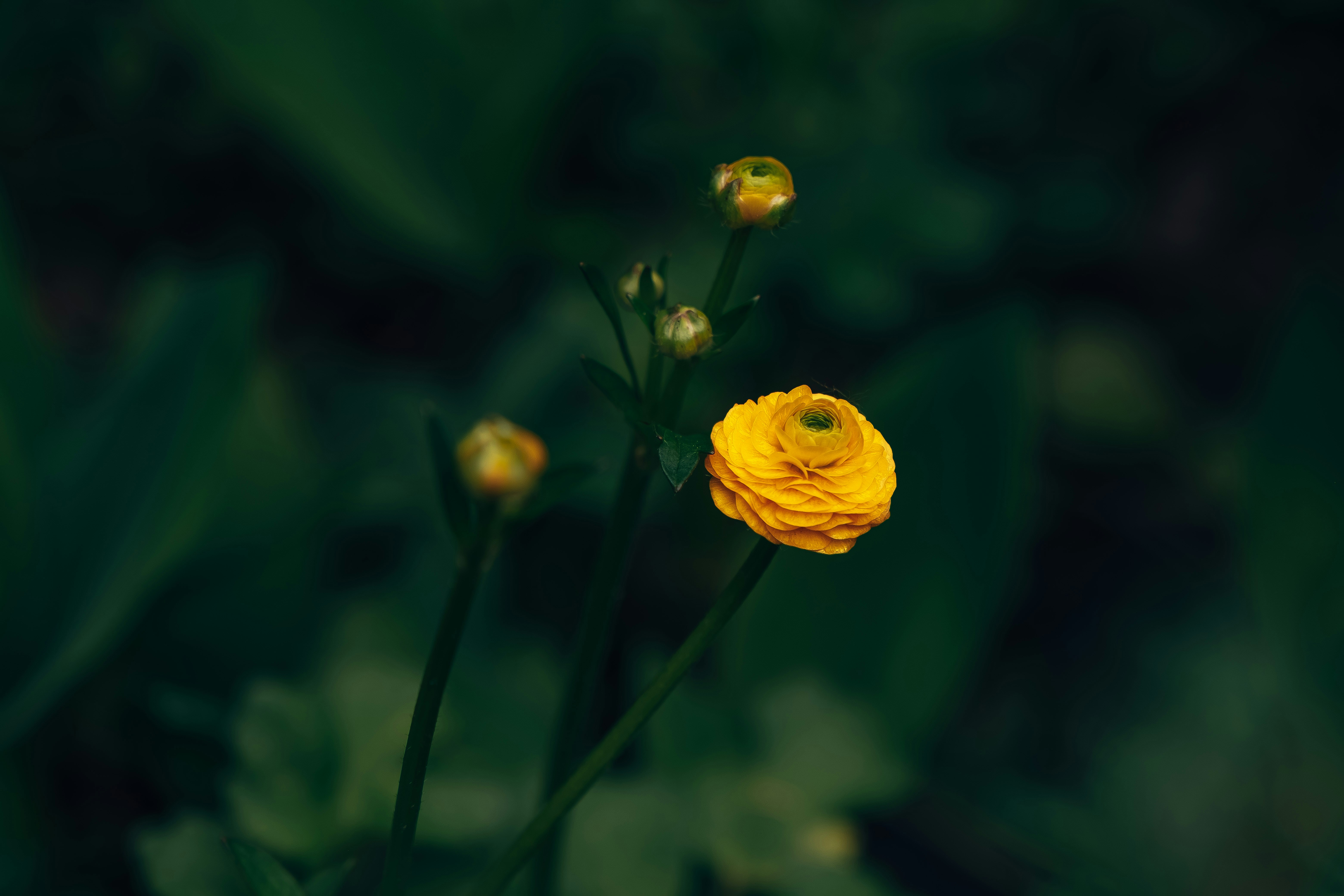 Photo by egorkomarov