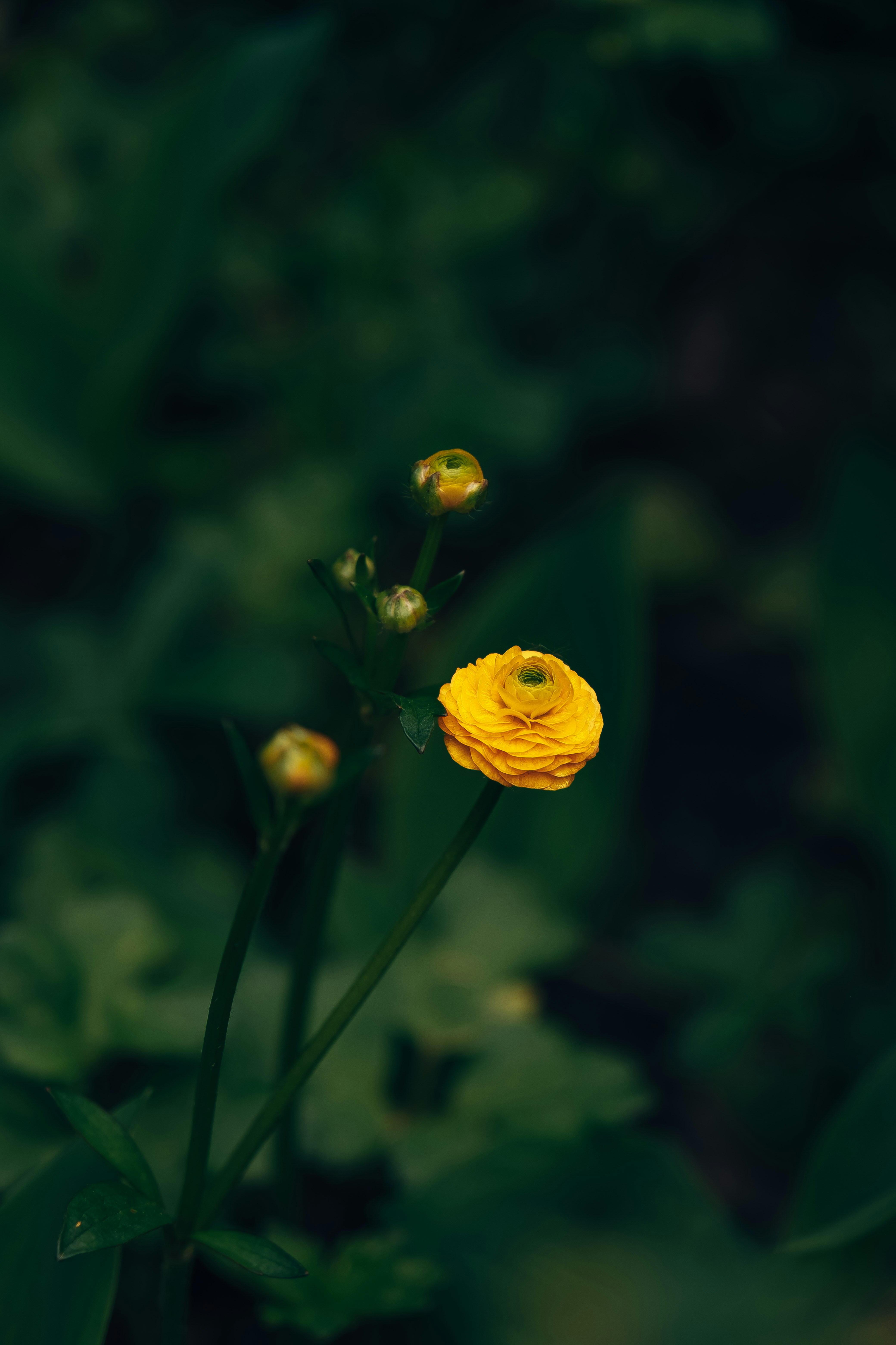 Photo by egorkomarov