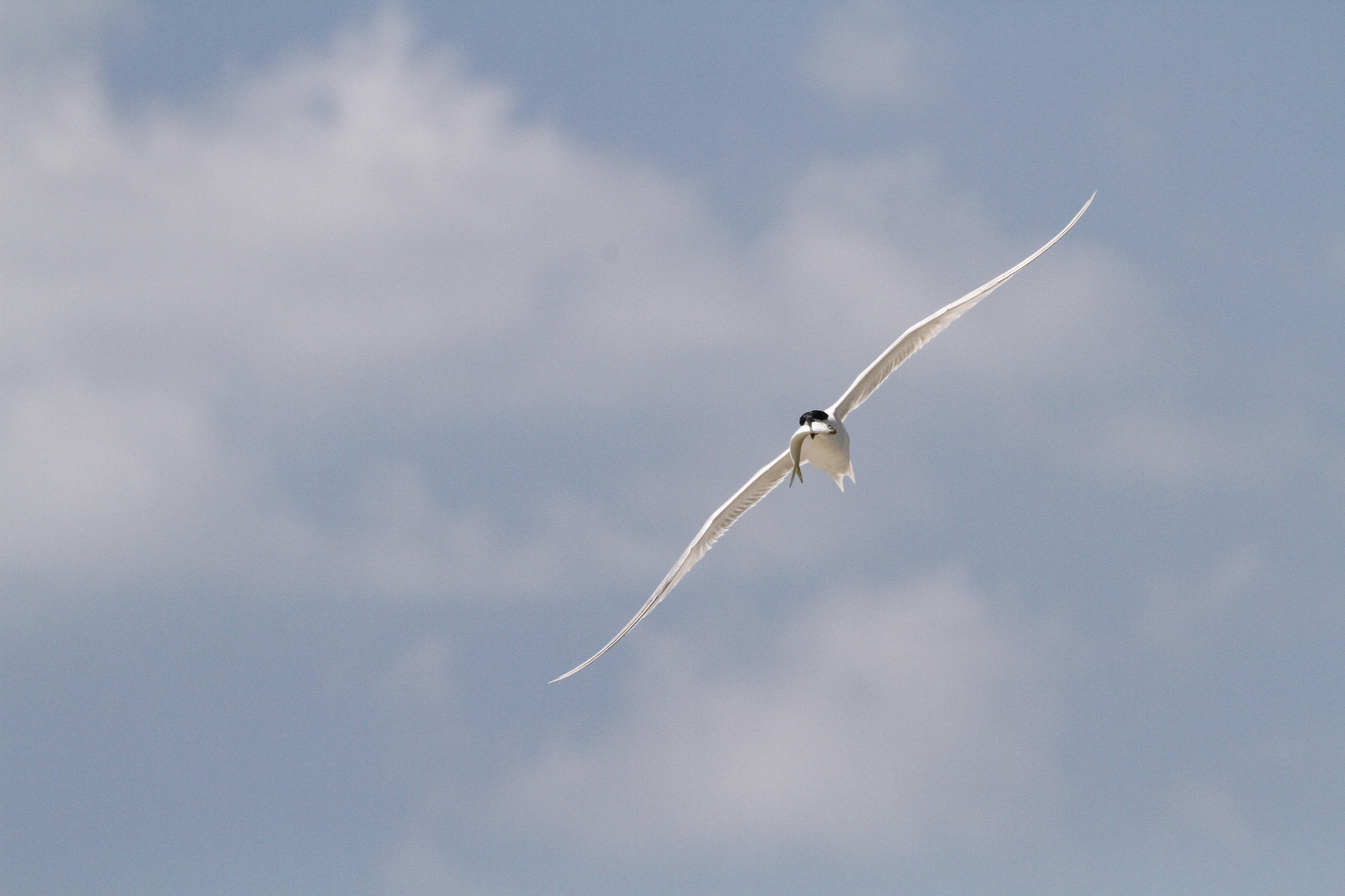 Photo by naturelensephotographer