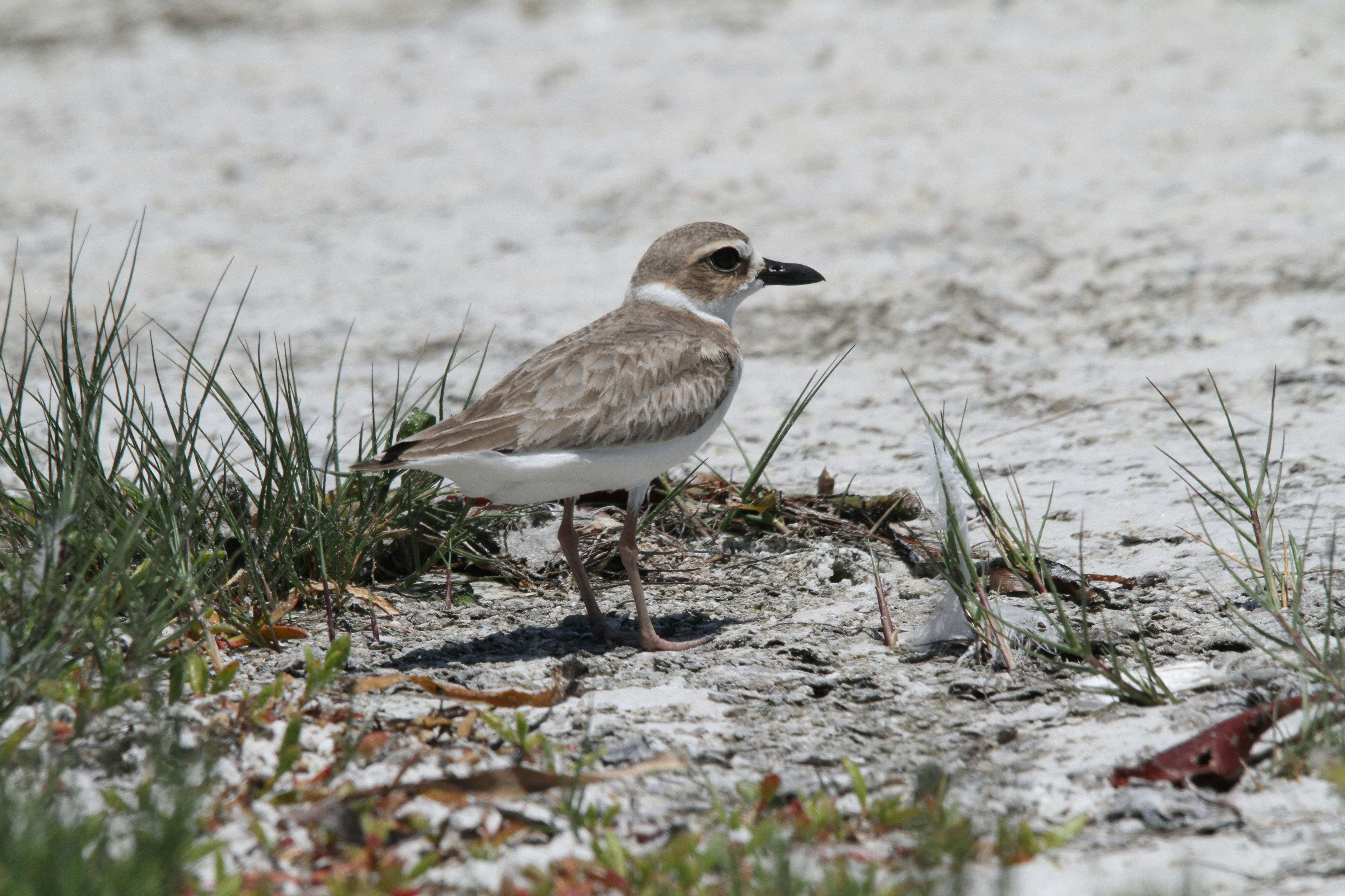 Photo by naturelensephotographer