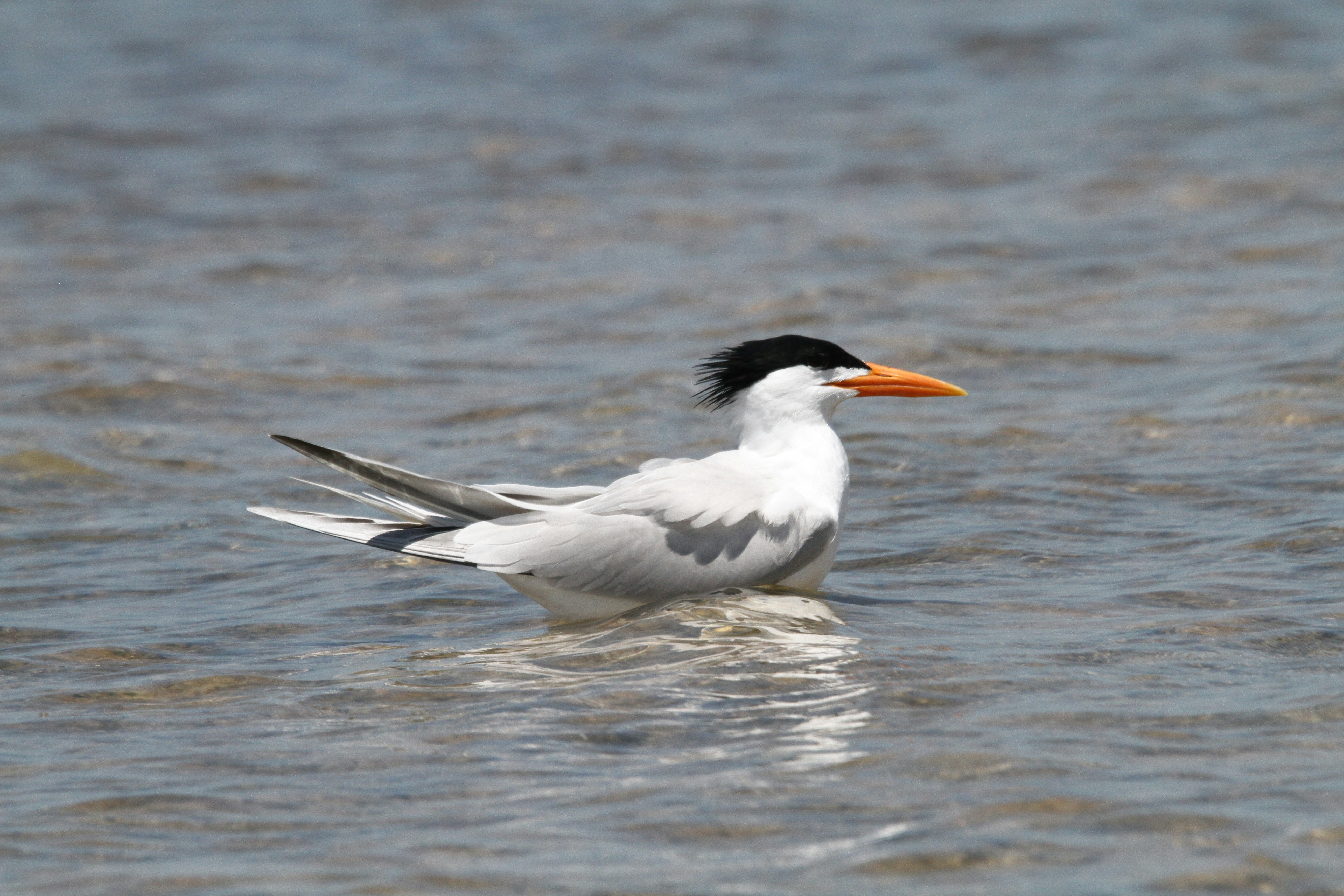 Photo by naturelensephotographer