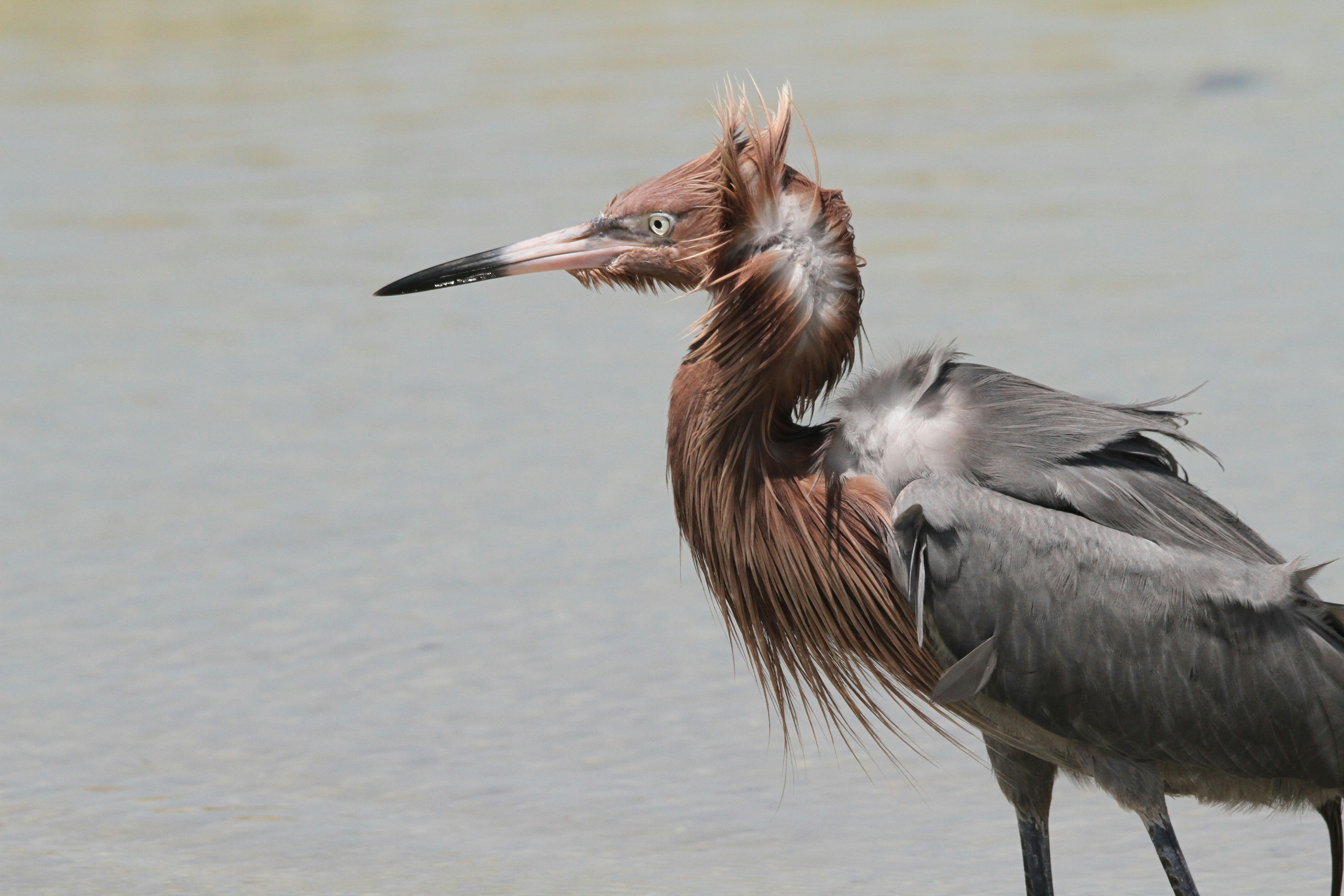 Photo by naturelensephotographer