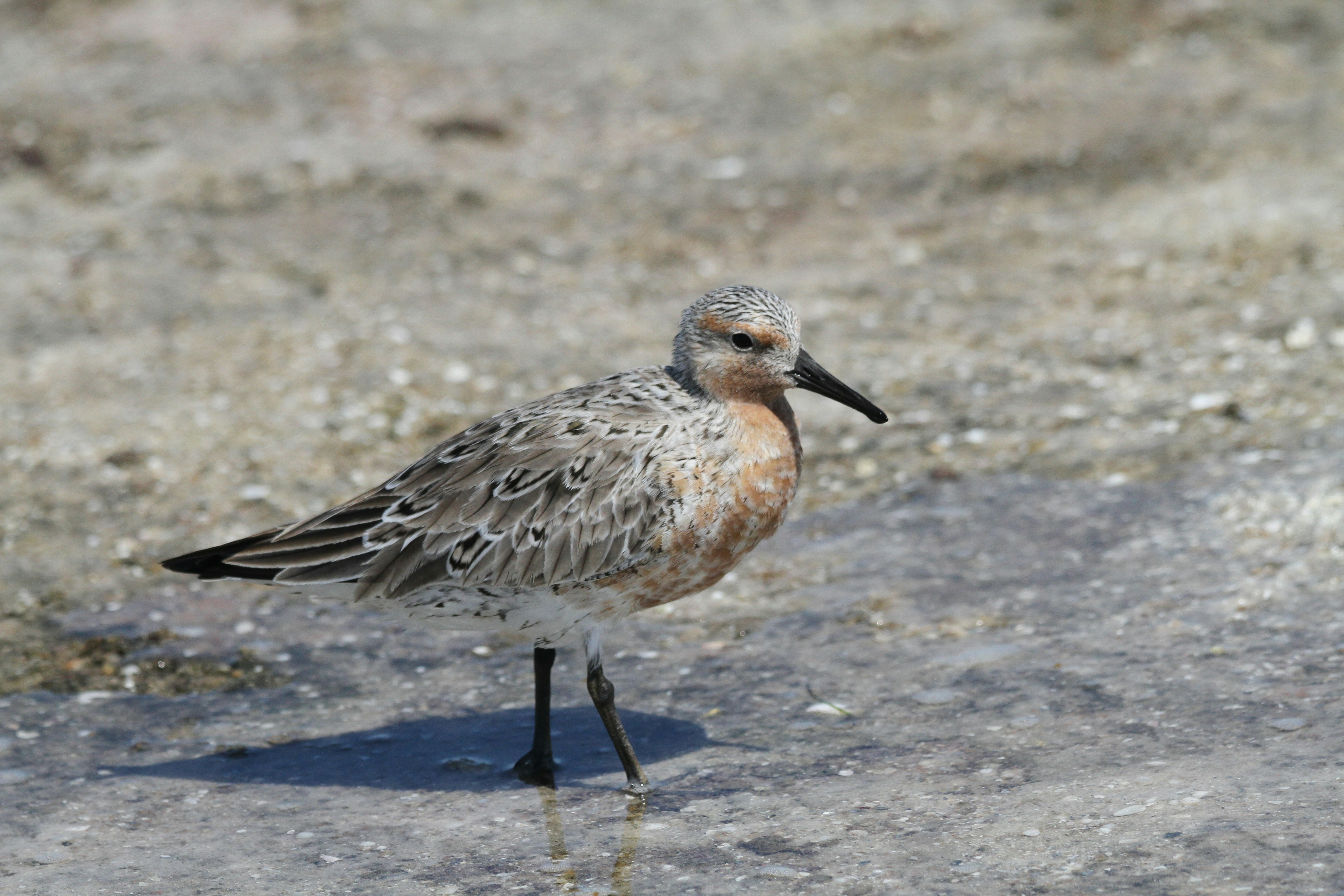 Photo by naturelensephotographer