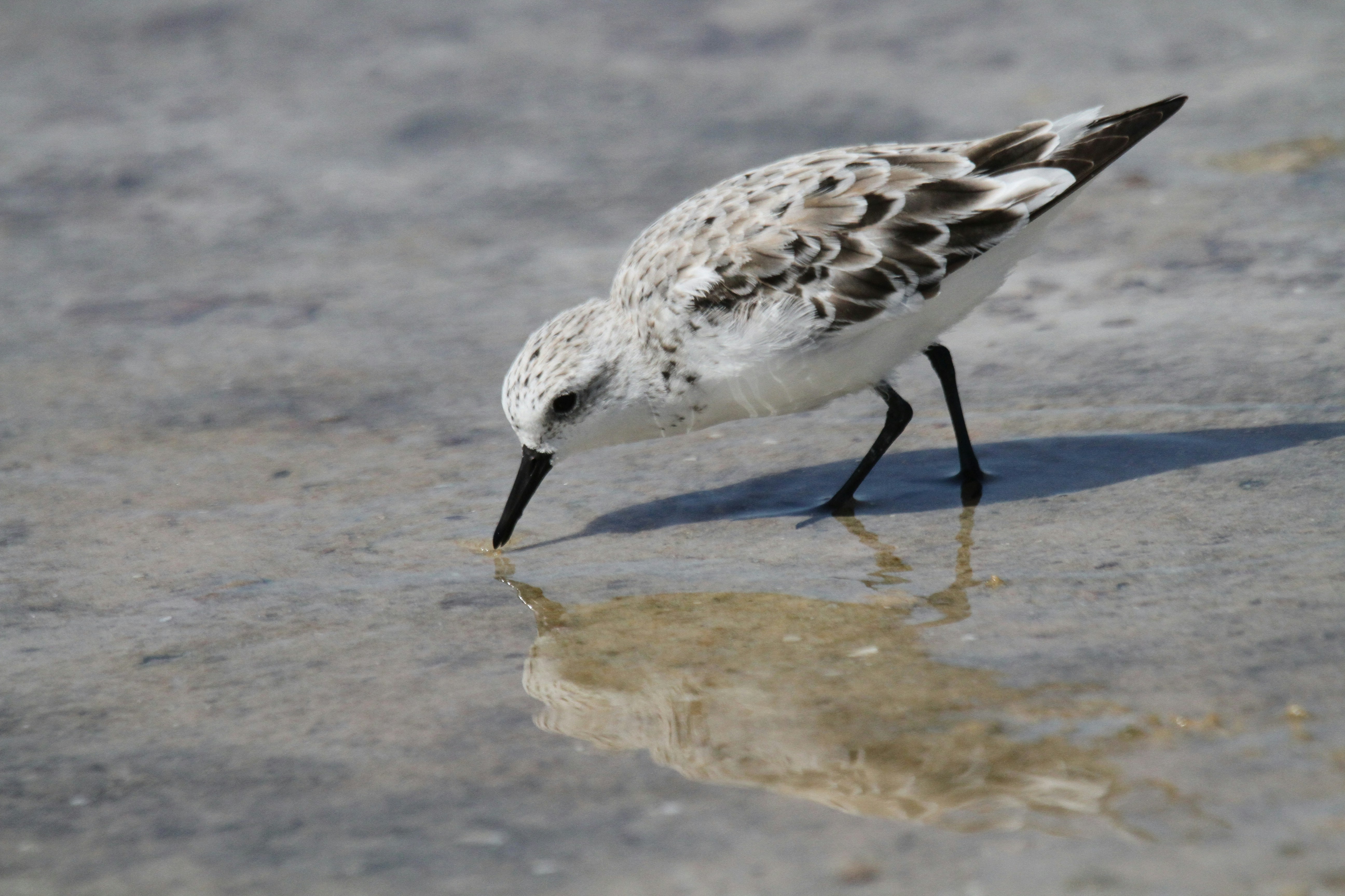 Photo by naturelensephotographer