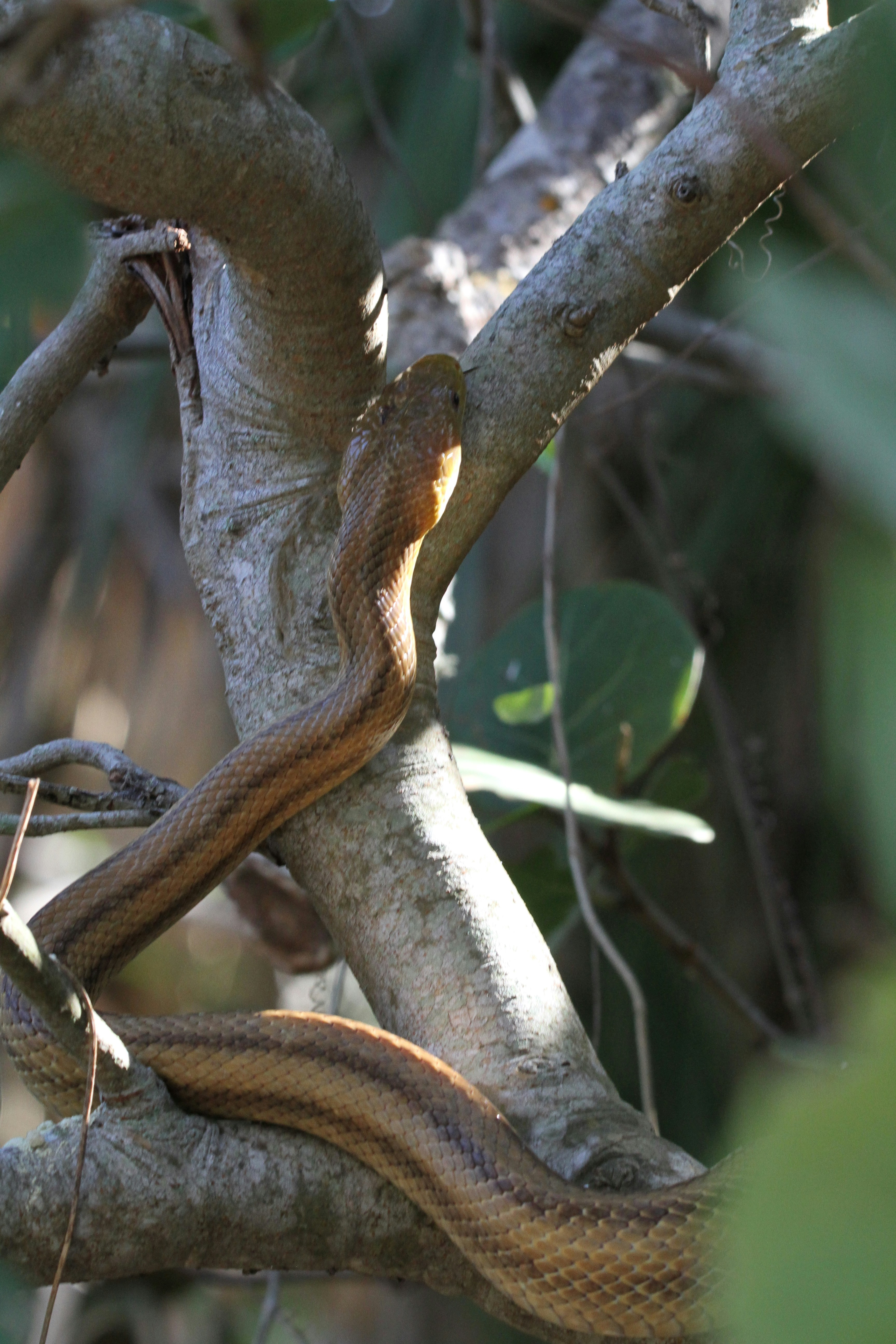 Photo by naturelensephotographer