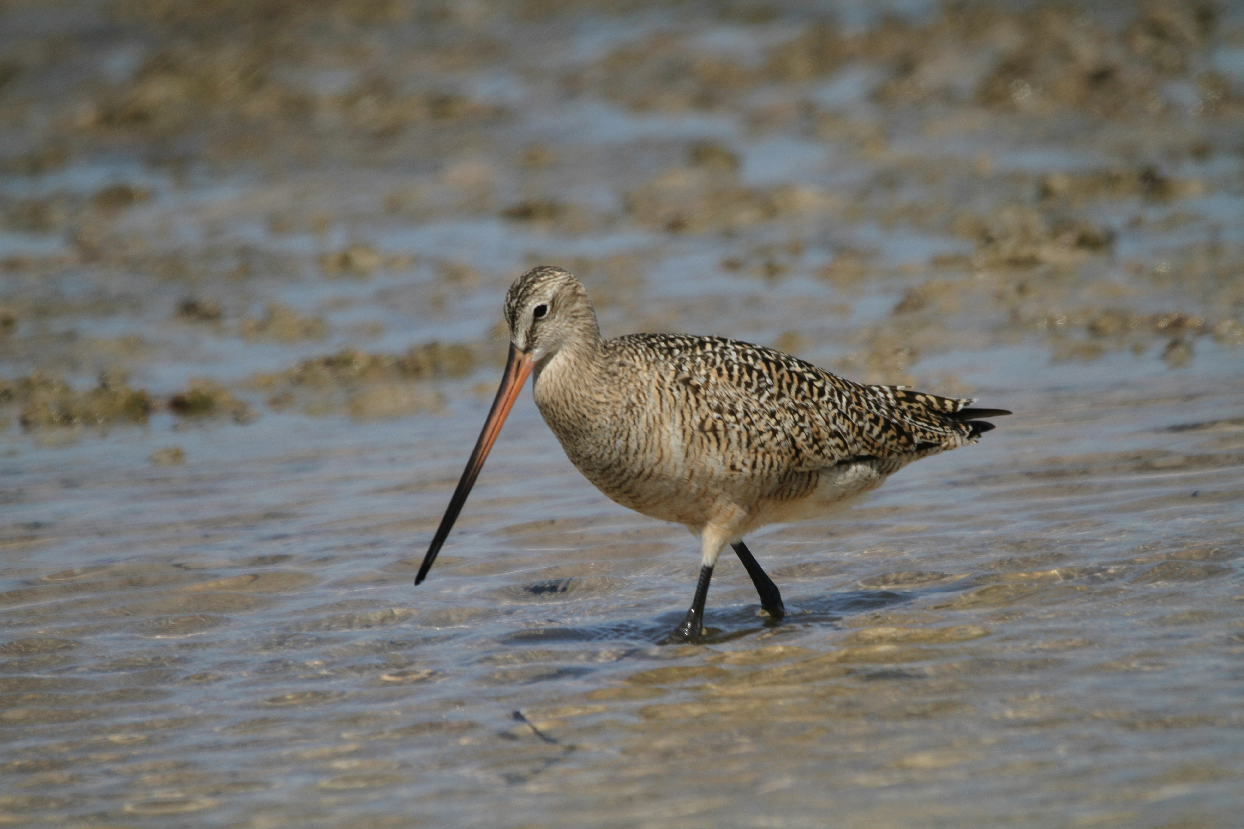 Photo by naturelensephotographer