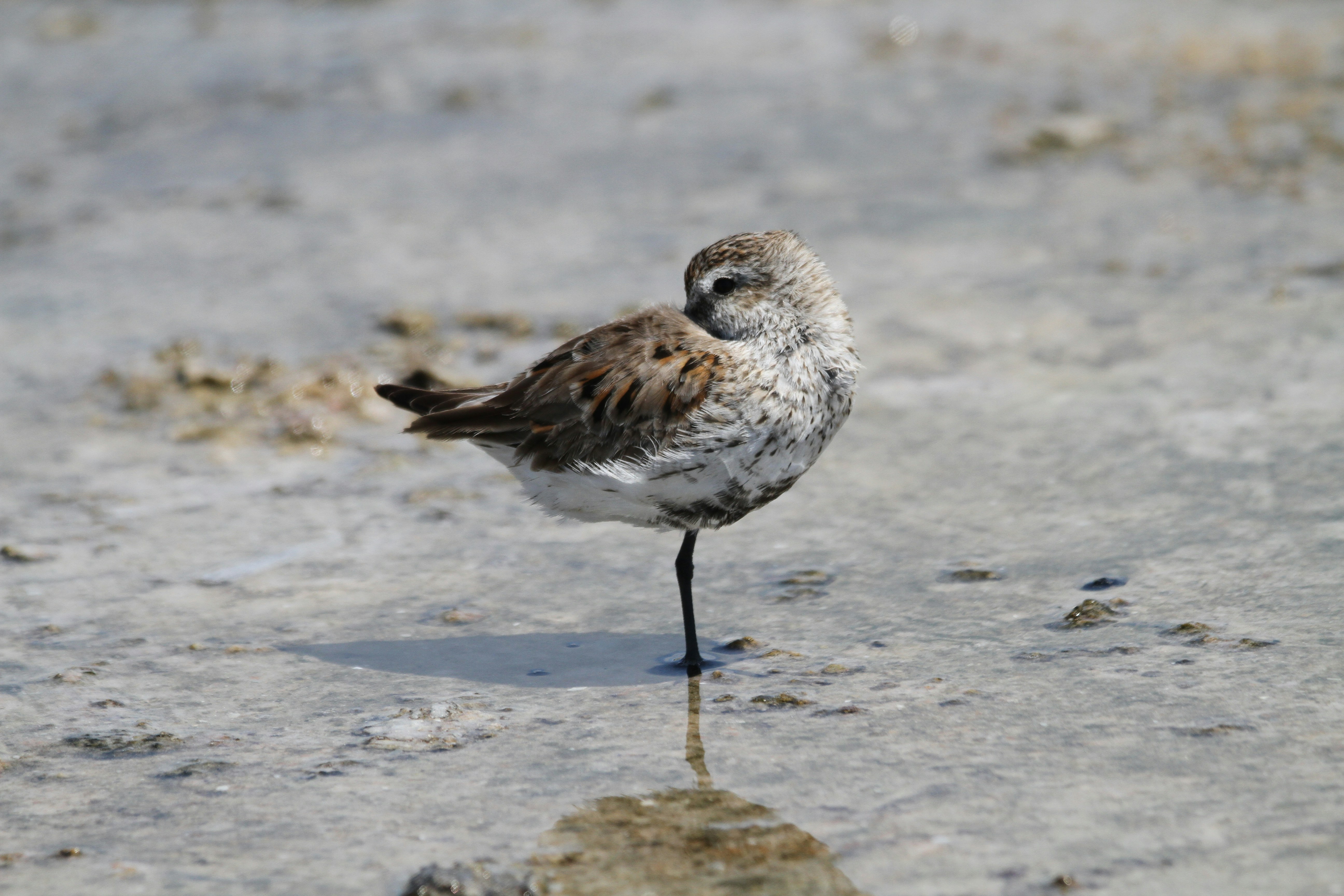 Photo by naturelensephotographer