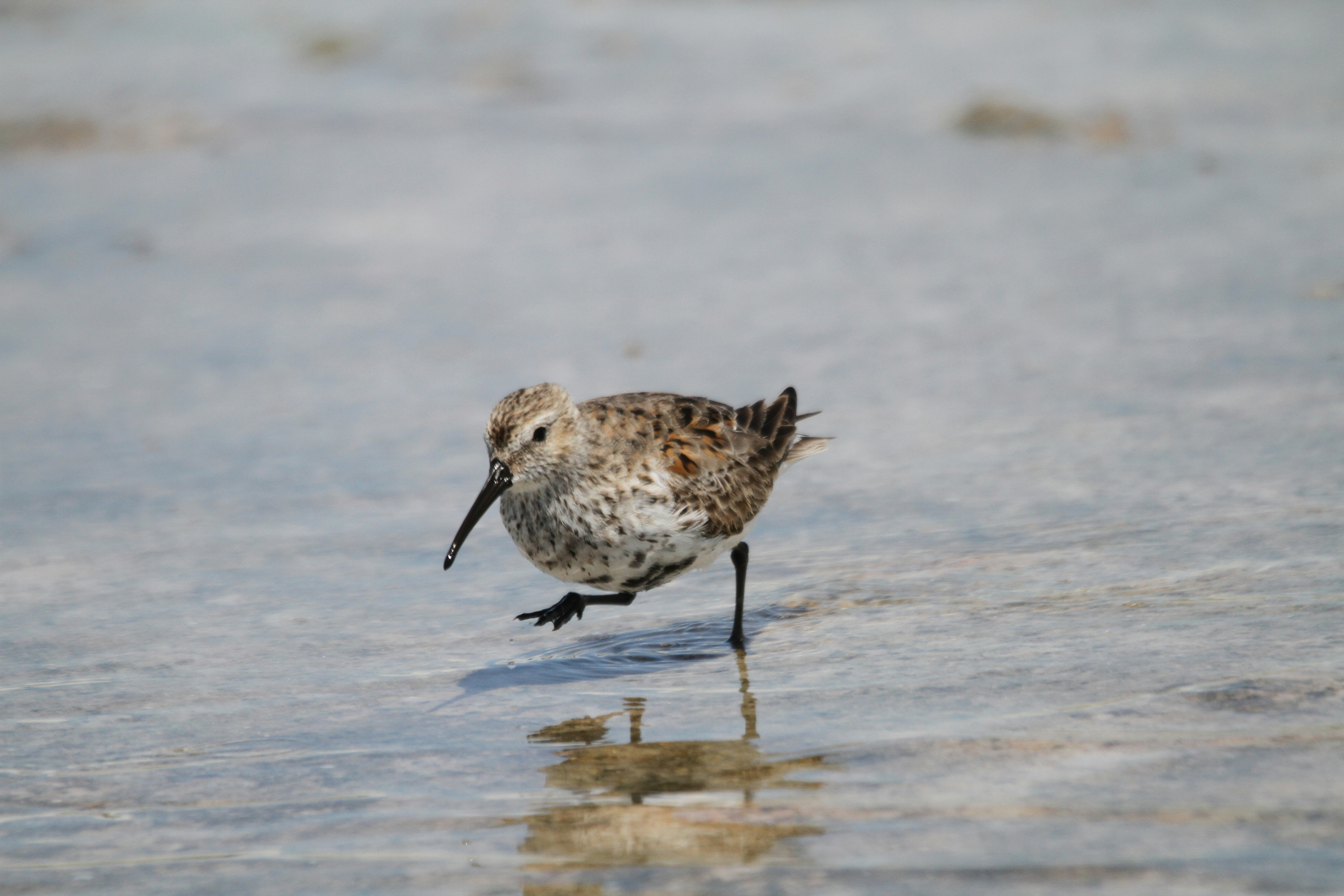 Photo by naturelensephotographer