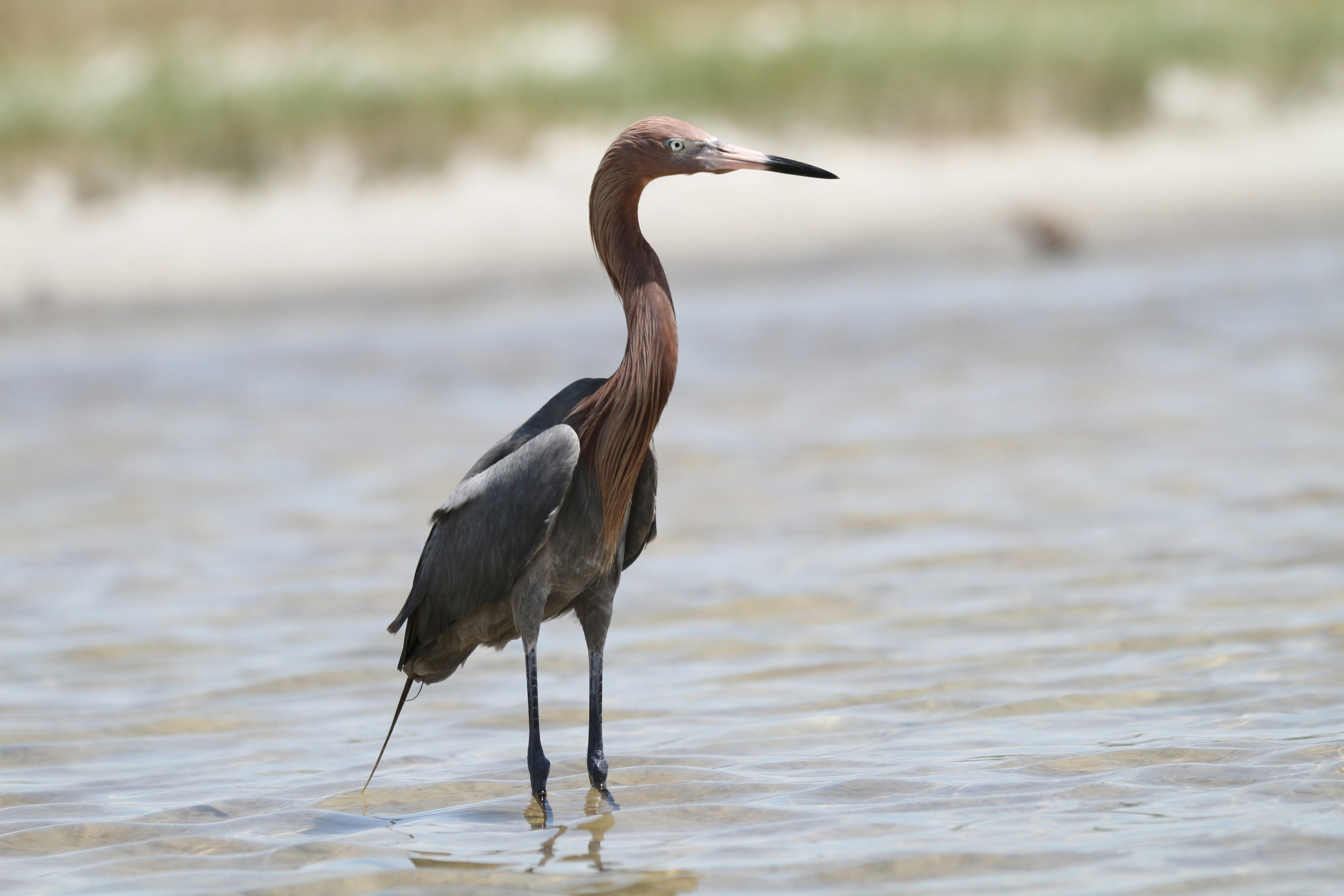 Photo by naturelensephotographer