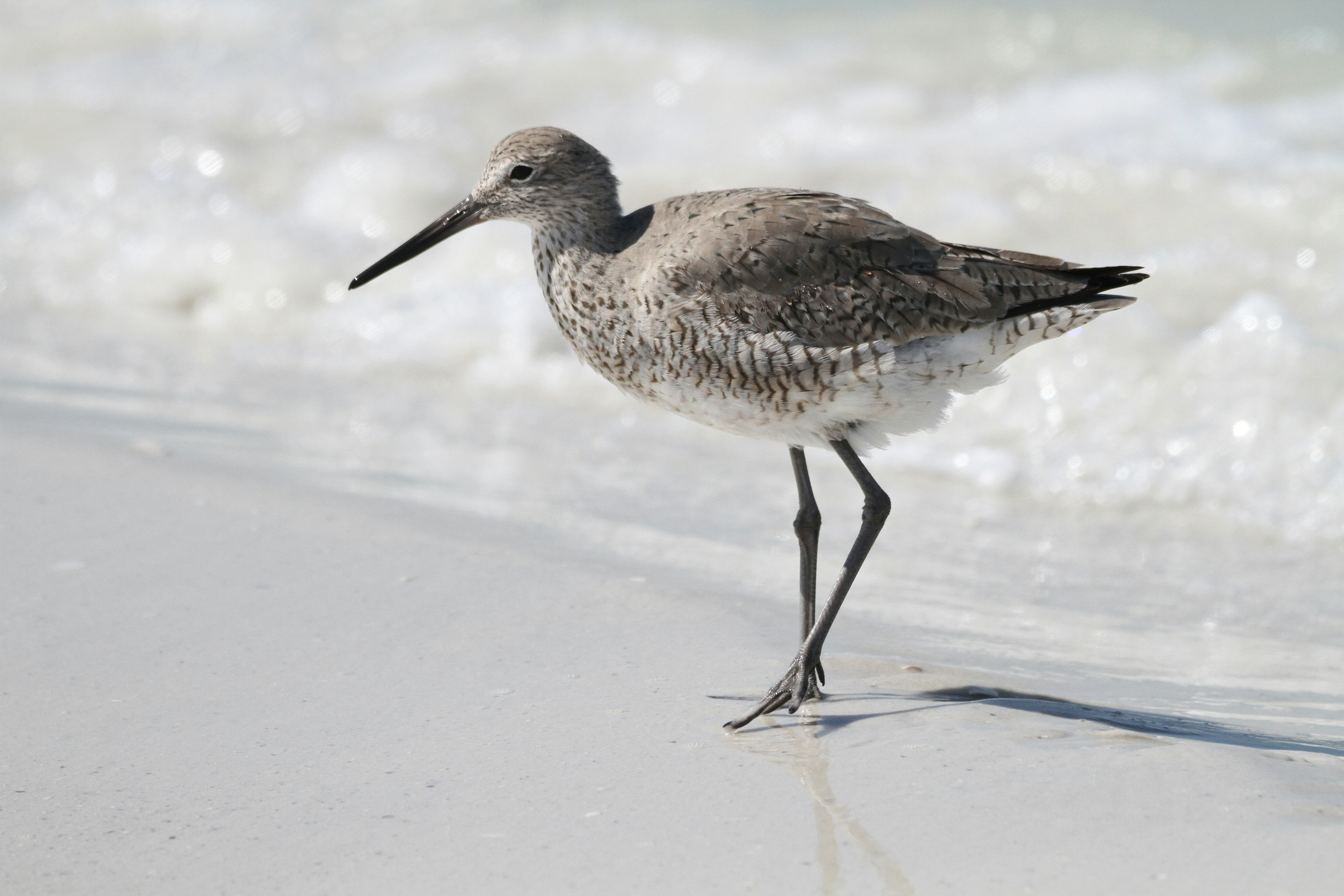 Photo by naturelensephotographer