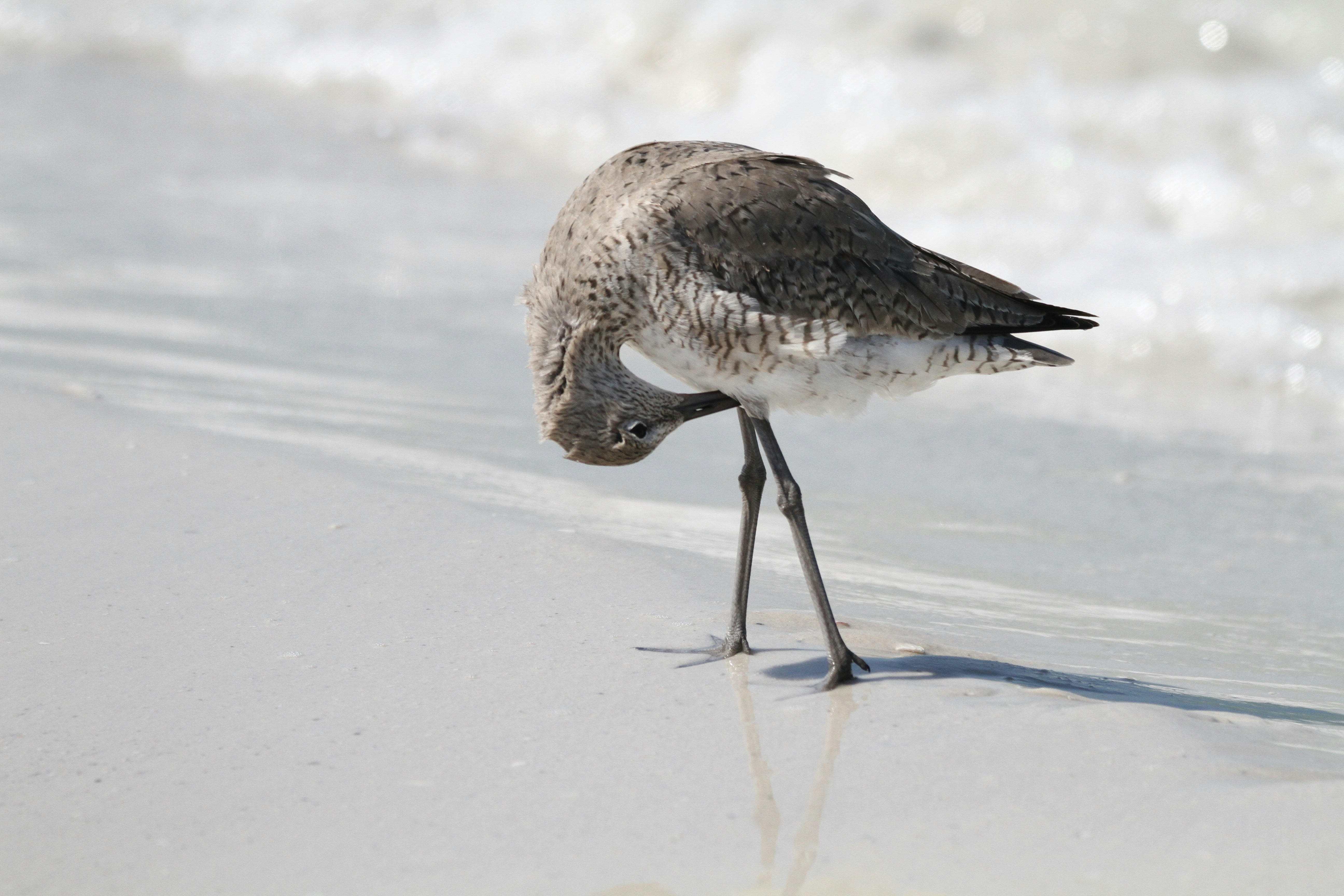 Photo by naturelensephotographer