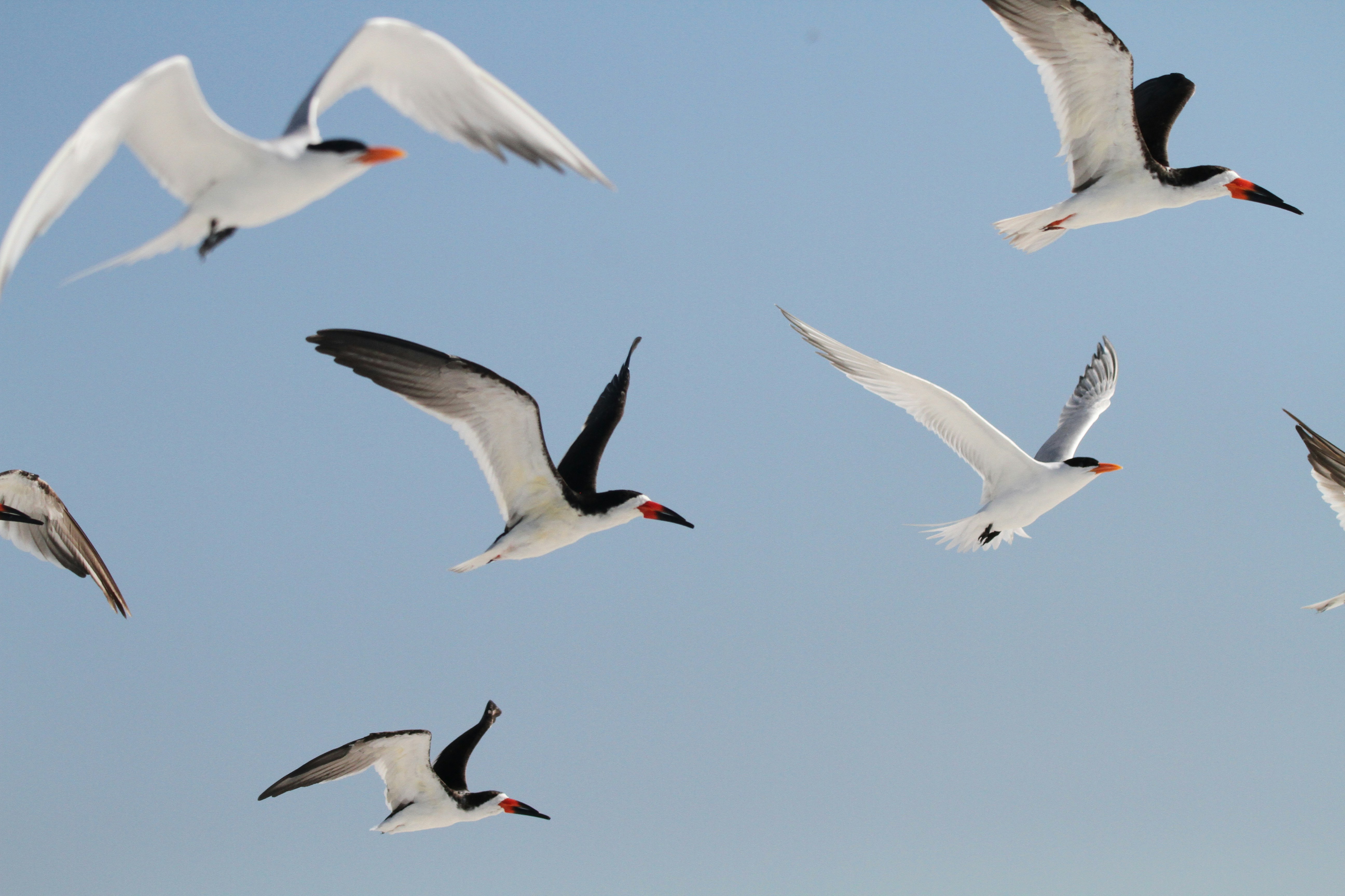 Photo by naturelensephotographer