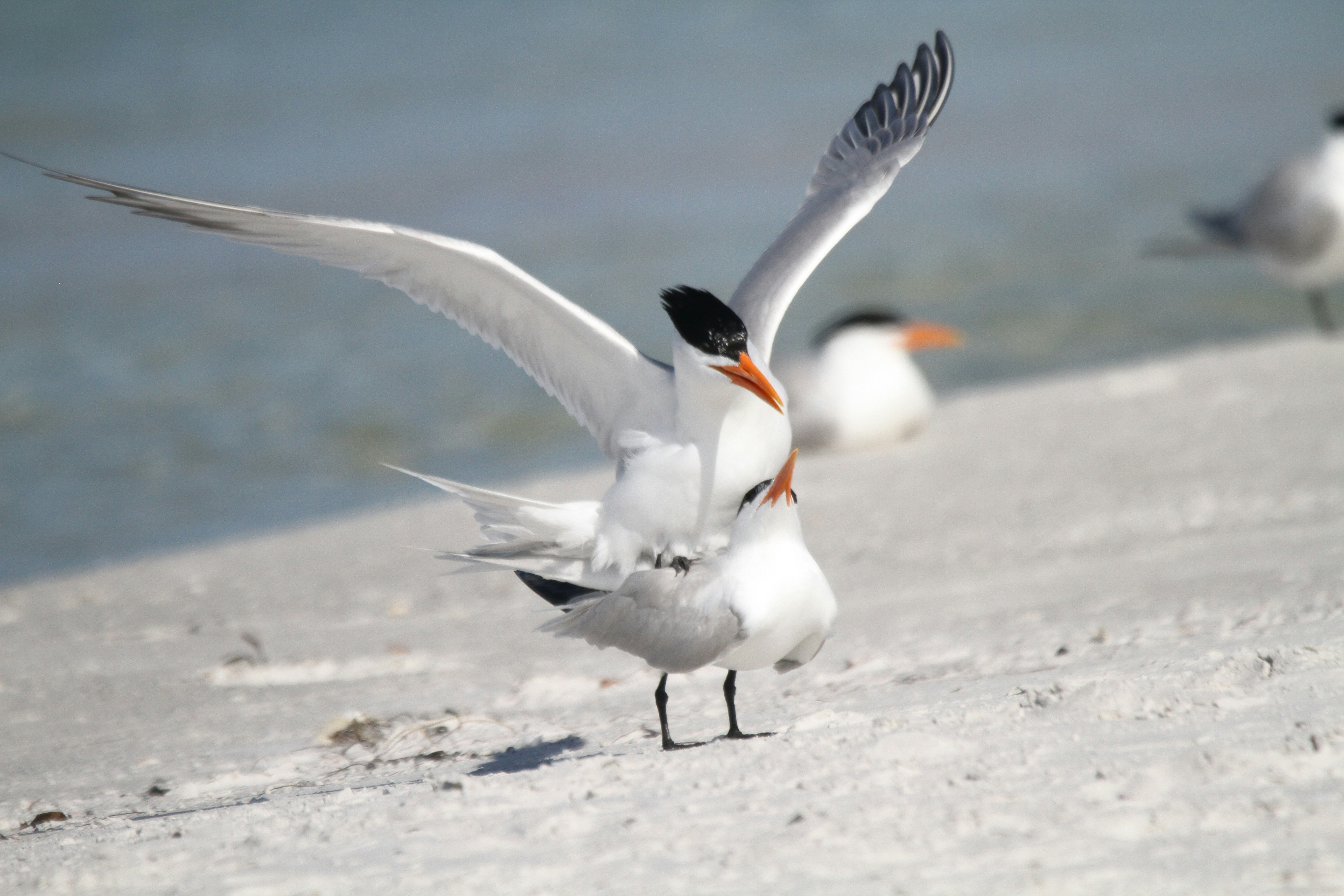 Photo by naturelensephotographer